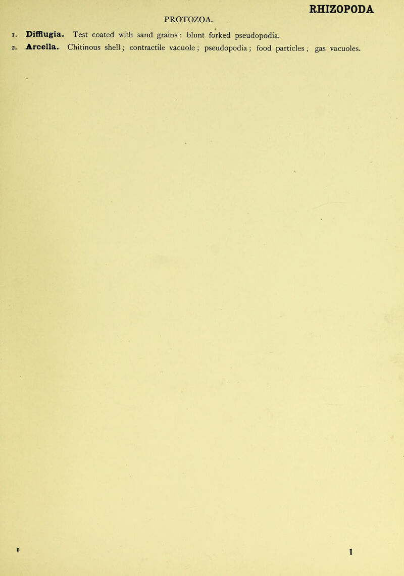 PROTOZOA. 1. Difflugia. Test coated with sand grains: blunt forked pseudopodia. 2. Arcella. Chitinous shell; contractile vacuole; pseudopodia; food particles ; gas vacuoles. . i 1