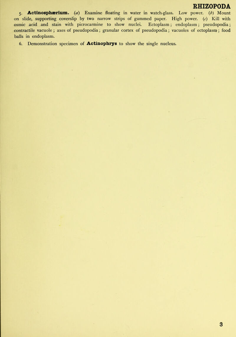 5. Actinosphaerium. (a) Examine floating in water in watch-glass. Low power, (b) Mount on slide, supporting coverslip by two narrow strips of gummed paper. High power, (c) Kill with osmic acid and stain with picrocarmine to show nuclei. Ectoplasm; endoplasm; pseudopodia; contractile vacuole; axes of pseudopodia; granular cortex of pseudopodia; vacuoles of ectoplasm; food balls in endoplasm. 6. Demonstration specimen of Actinophrys to show the single nucleus. 3