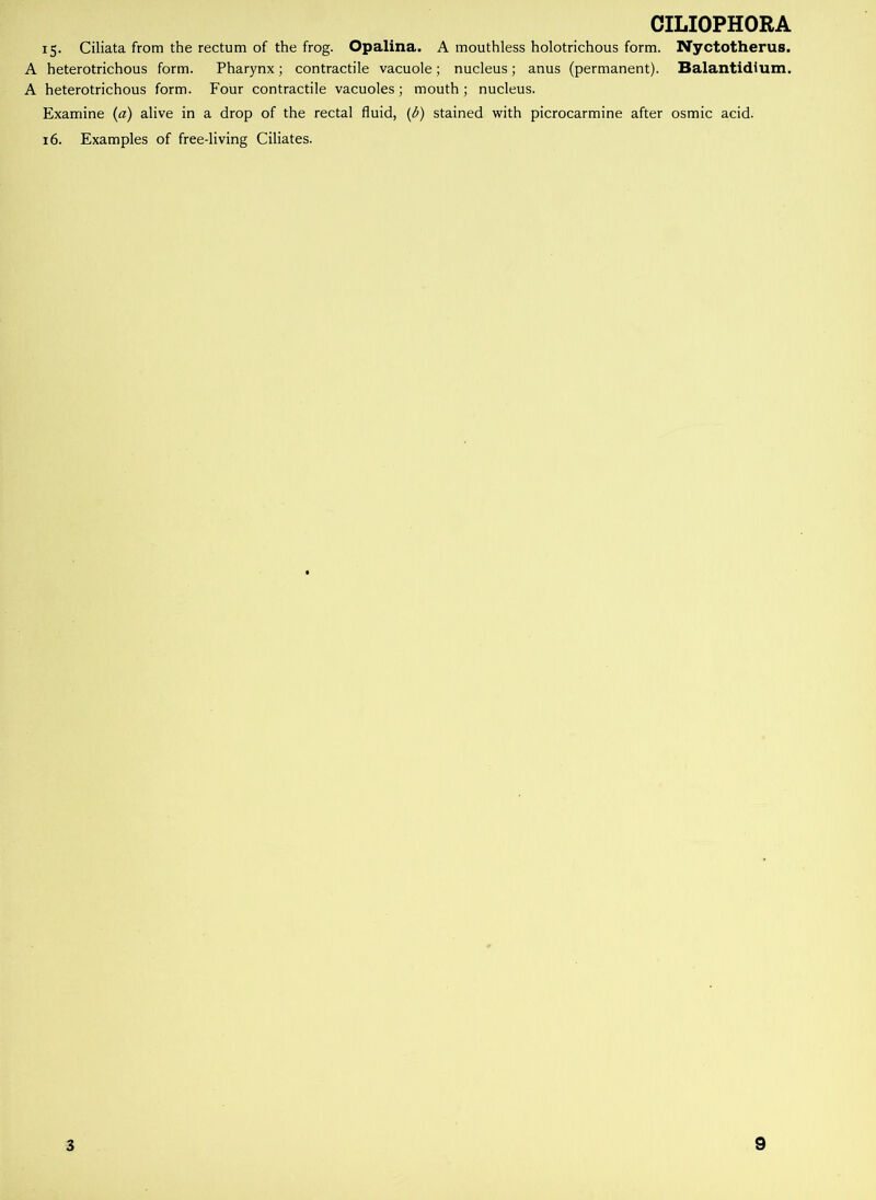 CILIOPHORA 15. Ciliata from the rectum of the frog. Opalina. A mouthless holotrichous form. Nyctotherus. A heterotrichous form. Pharynx; contractile vacuole; nucleus; anus (permanent). Balantidium. A heterotrichous form. Four contractile vacuoles; mouth; nucleus. Examine (a) alive in a drop of the rectal fluid, (6) stained with picrocarmine after osmic acid. 16. Examples of free-living Ciliates. 3 9