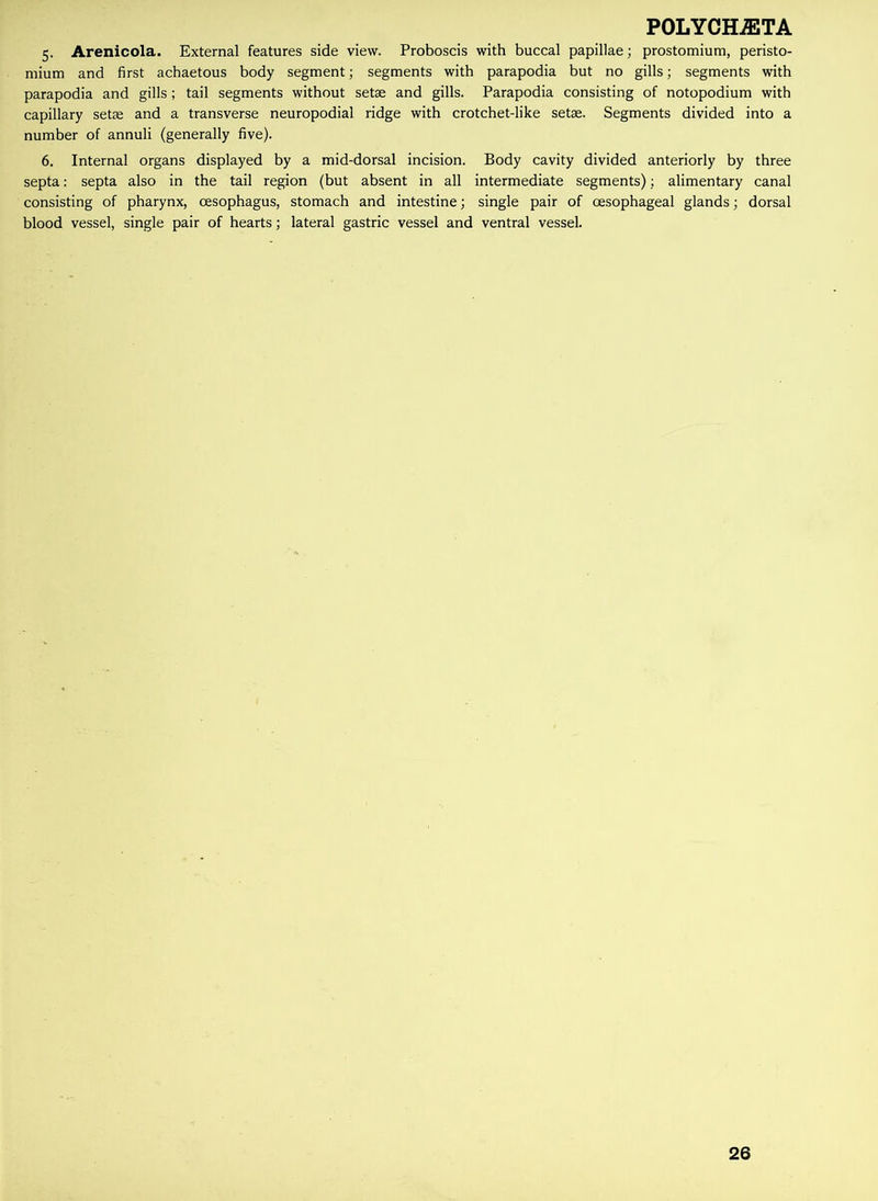 5. Arenicola. External features side view. Proboscis with buccal papillae; prostomium, peristo- mium and first achaetous body segment; segments with parapodia but no gills; segments with parapodia and gills; tail segments without setae and gills. Parapodia consisting of notopodium with capillary setae and a transverse neuropodial ridge with crotchet-like setae. Segments divided into a number of annuli (generally five). 6. Internal organs displayed by a mid-dorsal incision. Body cavity divided anteriorly by three septa: septa also in the tail region (but absent in all intermediate segments); alimentary canal consisting of pharynx, oesophagus, stomach and intestine; single pair of oesophageal glands; dorsal blood vessel, single pair of hearts; lateral gastric vessel and ventral vessel. 26