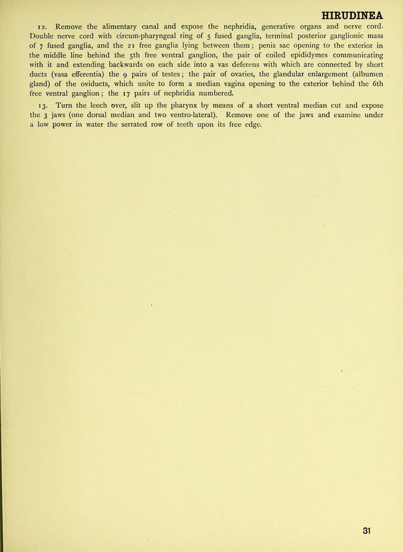 12. Remove the alimentary canal and expose the nephridia, generative organs and nerve cord- Double nerve cord with circum-pharyngeal ring of 5 fused ganglia, terminal posterior ganglionic mass of 7 fused ganglia, and the 21 free ganglia lying between them; penis sac opening to the exterior in the middle line behind the 5th free ventral ganglion, the pair of coiled epididymes communicating with it and extending backwards on each side into a vas deferens with which are connected by short ducts (vasa efferentia) the 9 pairs of testes; the pair of ovaries, the glandular enlargement (albumen gland) of the oviducts, which unite to form a median vagina opening to the exterior behind the 6th free ventral ganglion; the 17 pairs of nephridia numbered. 13. Turn the leech over, slit up the pharynx by means of a short ventral median cut and expose the 3 jaws (one dorsal median and two ventro-lateral). Remove one of the jaws and examine under a low power in water the serrated row of teeth upon its free edge. 31