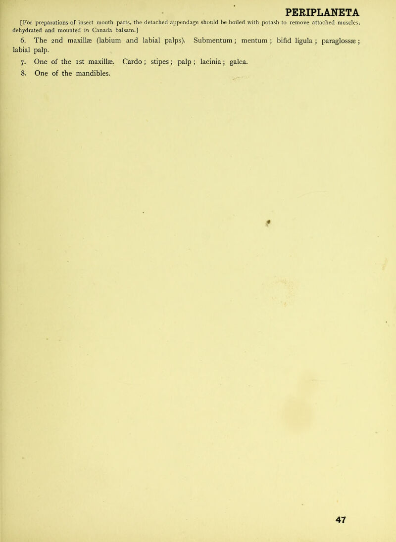 [For preparations of insect mouth parts, the detached appendage should be boiled with potash to remove attached muscles, dehydrated and mounted in Canada balsam.] 6. The 2nd maxillae (labium and labial palps). Submentum; mentum ; bifid ligula ; paraglossse; labial palp. 7. One of the 1st maxillae. Cardo; stipes; palp; lacinia; galea. 8. One of the mandibles. 47