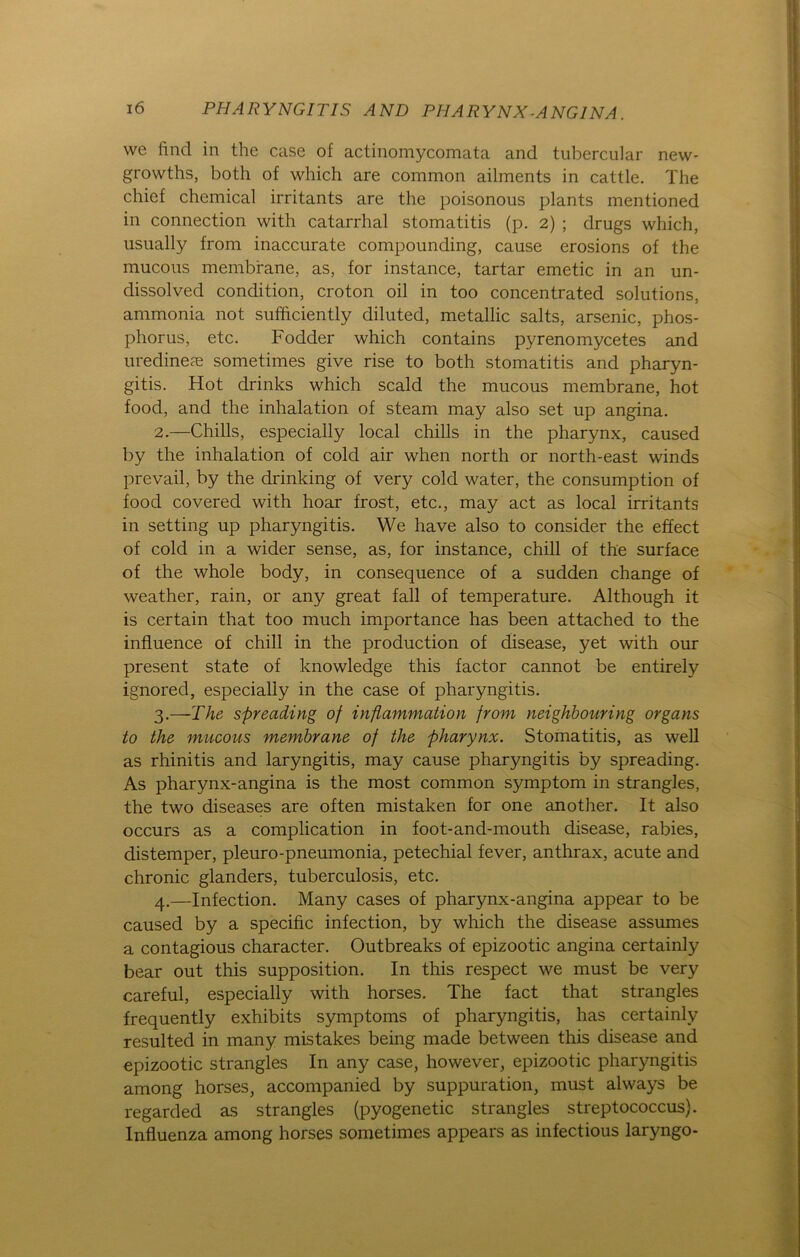 we find in the case of actinomycomata and tubercular new- growths, both of which are common ailments in cattle. The chief Chemical irritants are the poisonous plants mentioned in connection with catarrhal Stomatitis (p. 2) ; drugs which, usually from inaccurate compounding, cause erosions of the mucous membrane, as, for instance, tartar emetic in an un- dissolved condition, croton oil in too concentrated Solutions, ammonia not sufficiently diluted, metallic salts, arsenic, phos- phorus, etc. Fodder which contains pyrenomycetes and uredinese sometimes give rise to both Stomatitis and pharyn- gitis. Hot drinks which scald the mucous membrane, hot food, and the inhalation of steam may also set up angina. 2. —Chilis, especially local chills in the pharynx, caused by the inhalation of cold air when north or north-east winds prevail, by the drinking of very cold water, the consumption of food covered with hoar frost, etc., may act as local irritants in setting up pharyngitis. We have also to consider the effect of cold in a wider sense, as, for instance, chill of the surface of the whole body, in consequence of a sudden change of weather, rain, or any great fall of temperature. Although it is certain that too much importance has been attached to the influence of chill in the production of disease, yet with our present state of knowledge this factor cannot be entirely ignored, especially in the case of pharyngitis. 3. —The spreading of Inflammation from neighbouring organs to the mucous membrane of the pharynx. Stomatitis, as well as rhinitis and laryngitis, may cause pharyngitis by spreading. As pharynx-angina is the most common Symptom in strangles, the two diseases are often mistaken for one another. It also occurs as a complication in foot-and-mouth disease, rabies, distemper, pleuro-pneumonia, petechial fever, anthrax, acute and chronic glanders, tuberculosis, etc. 4. —Infection. Many cases of pharynx-angina appear to be caused by a specific infection, by which the disease assumes a contagious character. Outbreaks of epizootic angina certainly bear out this supposition. In this respect we must be very careful, especially with horses. The fact that strangles frequently exhibits Symptoms of pharyngitis, has certainly resulted in many mistakes being made between this disease and epizootic strangles In any case, however, epizootic pharyngitis among horses, accompanied by suppuration, must always be regarded as strangles (pyogenetic strangles Streptococcus). Influenza among horses sometimes appears as infectious laryngo-