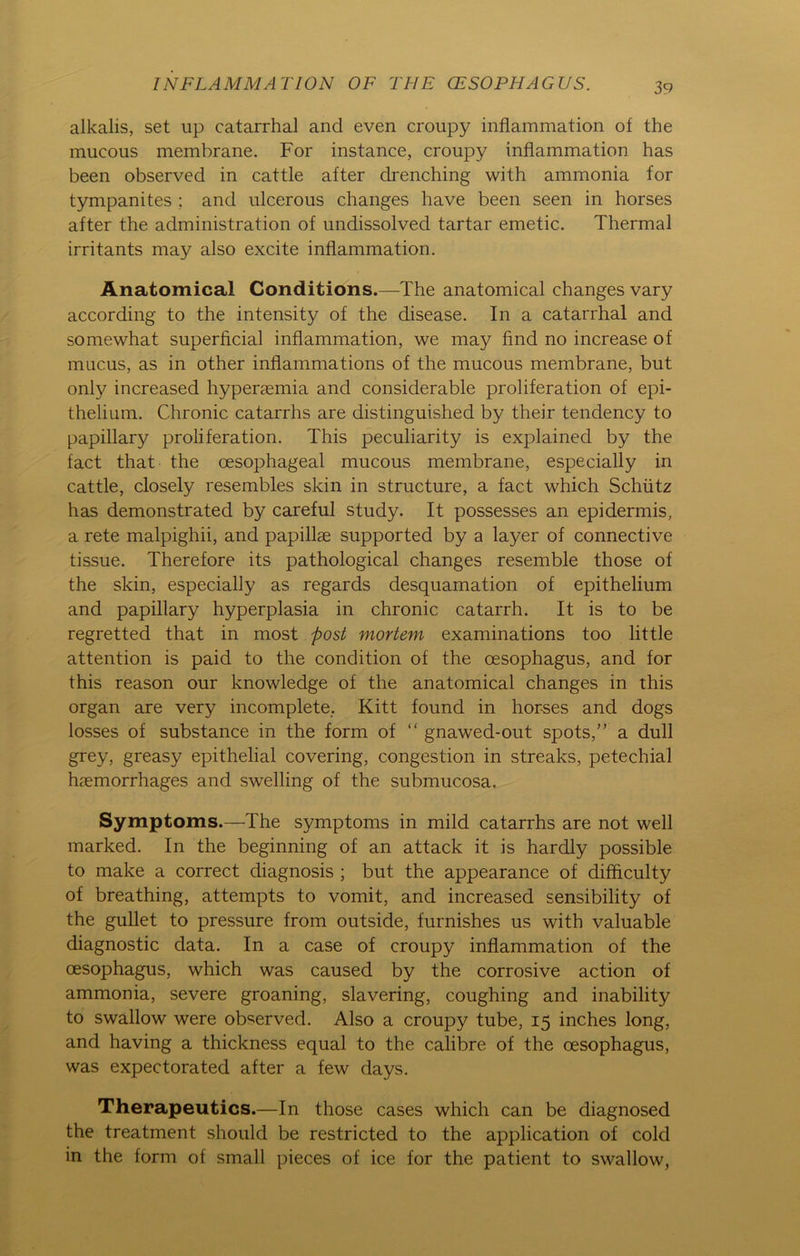 alkalis, set up catarrhal and even croupy inflammation of the mucous membrane. For instance, croupy inflammation has been observed in cattle after drenching with ammonia for tympanites ; and ulcerous changes have been seen in horses after the administration of undissolved tartar emetic. Thermal irritants may also excite inflammation. Anatomical Conditions.—The anatomical changes vary according to the intensity of the disease. In a catarrhal and somewhat superficial inflammation, we may find no increase of mucus, as in other inflammations of the mucous membrane, but only increased hyperaemia and considerable proliferation of epi- thelium. Chronic catarrhs are distinguished by their tendency to papillary proliferation. This peculiarity is explained by the fact that the oesophageal mucous membrane, especially in cattle, closely resembles skin in structure, a fact which Schütz has demonstrated by careful study. It possesses an epidermis, a rete malpighii, and papillae supported by a layer of connective tissue. Therefore its pathological changes resemble those of the skin, especially as regards desquamation of epithelium and papillary hyperplasia in chronic catarrh. It is to be regretted that in most post mortem examinations too little attention is paid to the condition of the cesophagus, and for this reason our knowledge of the anatomical changes in this organ are very incomplete.. Kitt found in hor-ses and dogs losses of substance in the form of “ gnawed-out spots,” a dull grey, greasy epithelial covering, congestion in streaks, petechial haemorrhages and swelling of the submucosa. Symptoms.—The Symptoms in mild catarrhs are not well marked. In the beginning of an attack it is hardly possible to make a correct diagnosis ; but the appearance of difficulty of breathing, attempts to vomit, and increased sensibility of the gullet to pressure from outside, furnishes us with valuable diagnostic data. In a case of croupy inflammation of the cesophagus, which was caused by the corrosive action of ammonia, severe groaning, slavering, coughing and inability to swallow were observed. Also a croupy tube, 15 inches long, and having a thickness equal to the calibre of the oesophagus, was expectorated after a few days. Therapeutics.—In those cases which can be diagnosed the treatment should be restricted to the application of cold in the form of small pieces of ice for the patient to swallow,