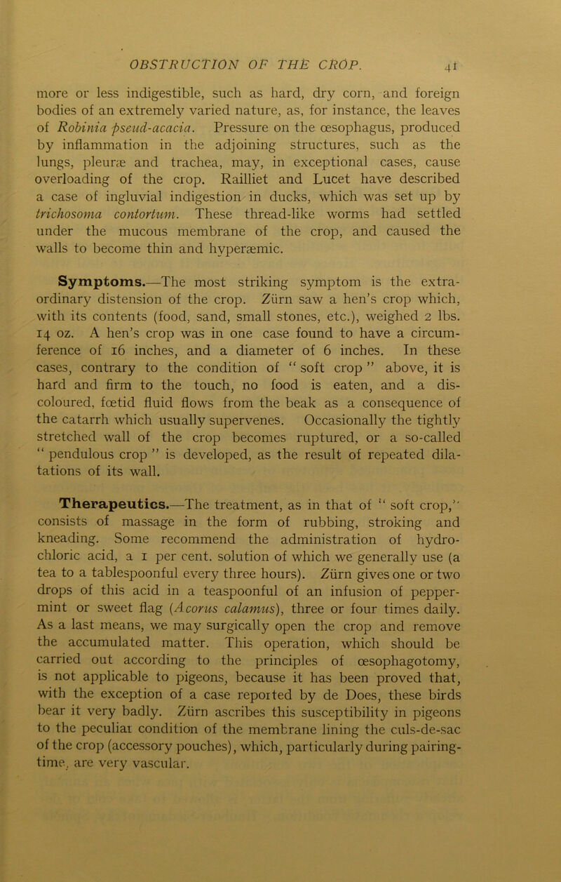 OB ST RU CT ION OP THE CROP. tnore or less indigestible, such as harcl, dry corn, and foreign bodies of an extremely varied nature, as, for instance, the leaves of Robinia pseud-acacia. Pressure 011 the cesophagus, produced by inflammation in the adjoining structures, such as the lungs, pleurae and trachea, may, in exceptional cases, cause overloading of the crop. Railliet and Lucet have described a case of ingluvial indigestion in ducks, which was set up by trichosoma contortum. These thread-like worms had settled under the mucous membrane of the crop, and caused the walls to become thin and hyperaemic. Symptoms.—The most striking Symptom is the extra- ordinary distension of the crop. Zürn saw a hen’s crop which, with its contents (food, sand, small stones, etc.), weighed 2 lbs. 14 oz. A hen’s crop was in one case found to have a circum- ference of 16 inches, and a diameter of 6 inches. In these cases, contrary to the condition of “ soft crop ” above, it is hard and firm to the touch, no food is eaten, and a dis- coloured, fcetid fluid flows from the beak as a consequence of the catarrh which usually supervenes. Occasionally the tightly stretched wall of the crop becomes ruptured, or a so-called “ pendulous crop ” is developed, as the result of repeated dila- tations of its wall. Therapeutics.—The treatment, as in that of u soft crop/' consists of massage in the form of rubbing, stroking and kneading. Some recommend the administration of hydro- chloric acid, a 1 per cent. solution of which we generallv use (a tea to a tablespoonful every three hours). Zürn givesone ortwo drops of this acid in a teaspoonful of an infusion of pepper- mint or sweet flag (Acorus calamus), three or four times daily. As a last means, we may surgically open the crop and remove the accumulated matter. This Operation, which should be carried out according to the principles of oesophagotomy, is not applicable to pigeons, because it has been proved that, with the exception of a case repoited by de Does, these birds bear it very badly. Zürn ascribes this susceptibility in pigeons to the peculiar condition of the membrane lining the culs-de-sac of the crop (accessory pouches), which, particularly during pairing- time. are very vascular.