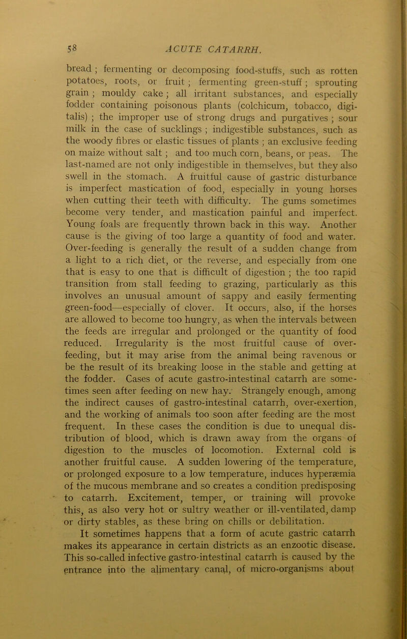 bread ; fermenting or decomposing food-stuffs, such as rotten potatoes, roots, or fruit ; fermenting green-stuff; sprouting grain ; moulcly cake; all irritant substances, and especially fodder containing poisonous plants (colchicum, tobacco, digi- talis) ; the improper use of strong drugs and purgatives ; sour milk in the case of sucklings ; indigestible substances, such as the woody fibres or elastic tissues of plants ; an exclusive feeding on maize without salt ; and too much com, beans, or peas. The last-named are not only indigestible in themselves, but they also swell in the stomach. A fruitful cause of gastric disturbance is imperfect mastication of food, especially in young horses when cutting their teeth with difficulty. The gums sometimes become very tender, and mastication painful and imperfect. Young foals are frequently thrown back in this way. Another cause is the giving of too large a quantity of food and water. Over-feeding is generally the result of a sudden change from a light to a rieh diet, or the reverse, and especially from one that is easy to one that is difhcult of digestion ; the too rapid transition from stall feeding to grazing, particularly as this involves an unusual amount of sappy and easily fermenting green-food—especially of clover. It occurs, also, if the horses are allowed to become too hungry, as when the intervals between the feeds are irregulär and prolonged or the quantity of food reduced. Irregularity is the most fruitful cause of over- feeding, but it may arise from the animal being ravenous or be the result of its breaking loose in the stable and getting at the fodder. Cases of acute gastro-intestinal catarrh are some- times seen after feeding on new hay. Strangely enough, among the indirect causes of gastro-intestinal catarrh, over-exertion, and the working of animals too soon after feeding are the most frequent. In these cases the condition is due to unequal dis- tribution of blood, which is drawn away from the Organs of digestion to the muscles of locomotion. External cold is another fruitful cause. A sudden lowering of the temperature, or prolonged exposure to a low temperature, induces hypereemia of the mucous membrane and so creates a condition predisposing to catarrh. Excitement, temper, or training will provoke this, as also very hot or sultry weather or ill-ventilated, damp or dirty stables, as these bring on chills or debilitation. It sometimes happens that a form of acute gastric catarrh makes its appearance in certain districts as an enzootic disease. This so-called infective gastro-intestinal catarrh is caused by the ßntrance into the alimentary canal, of micro-organisms about