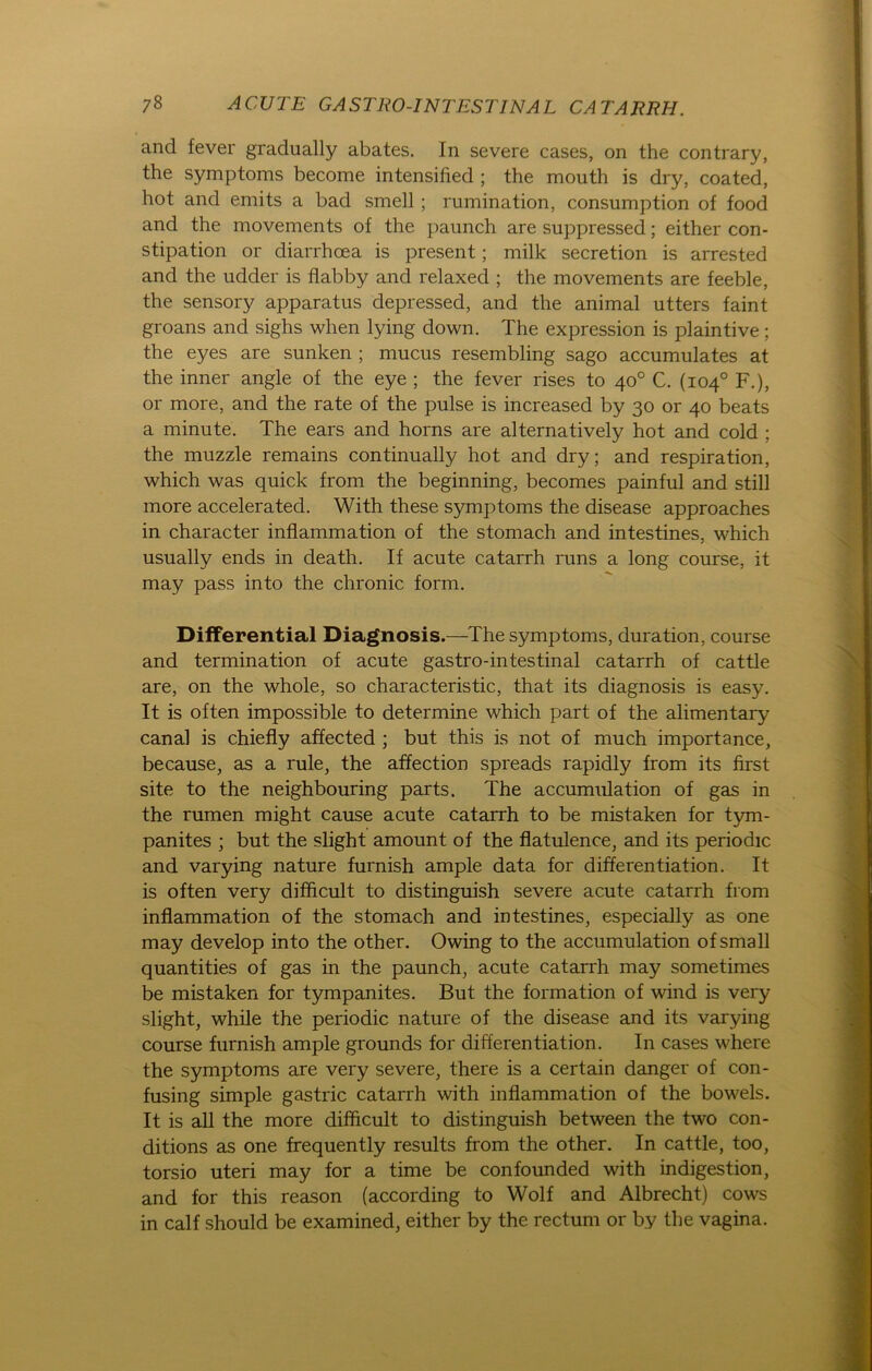 and fever gradually abates. In severe cases, on the contrary, the Symptoms become intensified ; the mouth is dry, coated, hot and emits a bad smell ; rumination, consumption of food and the movements of the paunch are suppressed; either con- stipation or diarrhoea is present; milk secretion is arrested and the udder is flabby and relaxed ; the movements are feeble, the sensory apparatus depressed, and the animal utters faint groans and sighs when lying down. The expression is plaintive; the eyes are sunken ; mucus resembling sago accumulates at the inner angle of the eye ; the fever rises to 40° C. (104° F.), or more, and the rate of the pulse is increased by 30 or 40 beats a minute. The ears and horns are alternatively hot and cold ; the muzzle remains continually hot and dry; and respiration, which was quick from the beginning, becomes painful and still more accelerated. With these Symptoms the disease approaches in character inflammation of the stomach and intestines, which usually ends in death. If acute catarrh runs a long course, it may pass into the chronic form. Differential Diagnosis.—The Symptoms, duration, course and termination of acute gastro-intestinal catarrh of cattle are, on the whole, so characteristic, that its diagnosis is easy. It is often impossible to determine which part of the alimentary canal is chiefly affected ; but this is not of much importance, because, as a rule, the affection spreads rapidly from its first site to the neighbouring parts. The accumulation of gas in the rumen might cause acute catarrh to be mistaken for tym- panites ; but the slight amount of the flatulence, and its periodic and varying nature furnish ample data for differentiation. It is often very difficult to distinguish severe acute catarrh from inflammation of the stomach and intestines, especially as one may develop into the other. Owing to the accumulation of small quantities of gas in the paunch, acute catarrh may sometimes be mistaken for tympanites. But the formation of wind is very slight, while the periodic nature of the disease and its varying course furnish ample grounds for differentiation. In cases where the Symptoms are very severe, there is a certain danger of con- fusing simple gastric catarrh with inflammation of the bowels. It is all the more difficult to distinguish between the two con- ditions as one frequently results from the other. In cattle, too, torsio uteri may for a time be confounded with indigestion, and for this reason (according to Wolf and Albrecht) cows in calf should be examined, either by the rectum or by the vagina.