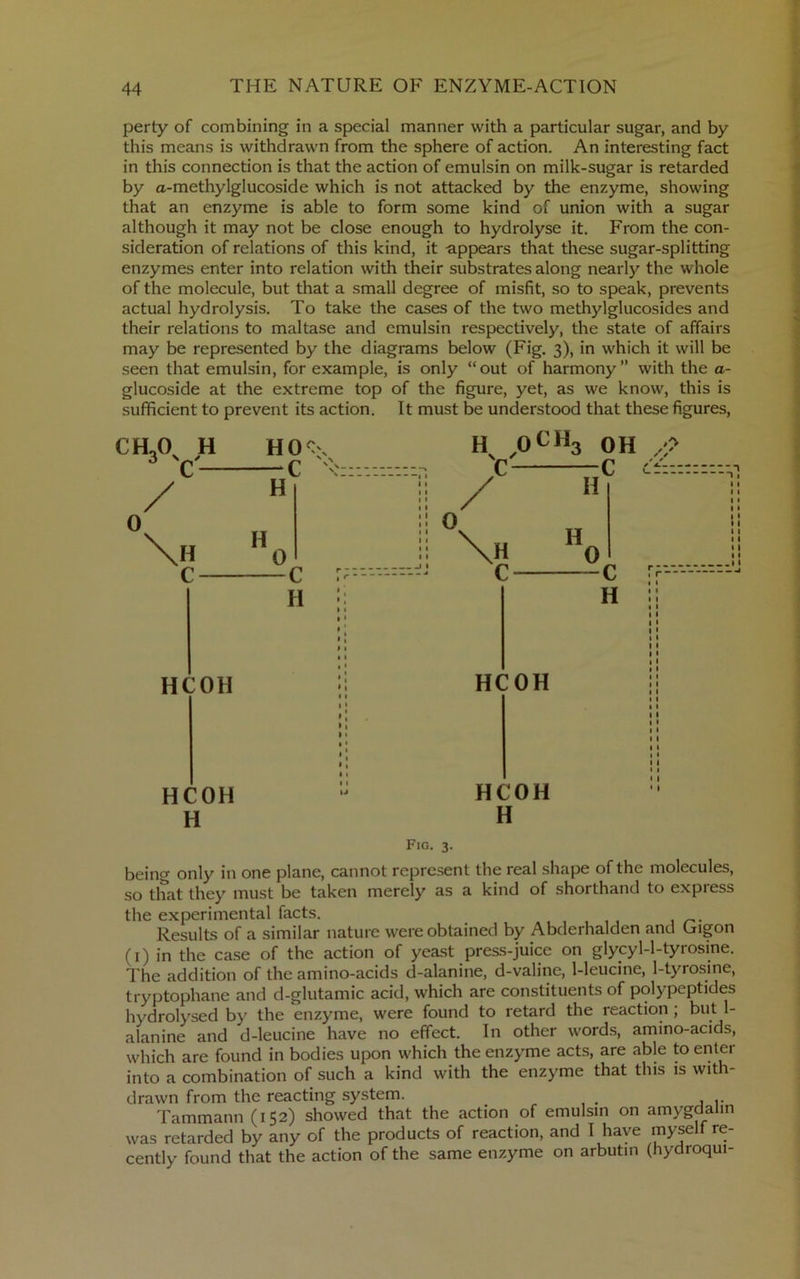 perty of combining in a special manner with a particular sugar, and by this means is withdrawn from the sphere of action. An interesting fact in this connection is that the action of emulsin on milk-sugar is retarded by a-methylglucoside which is not attacked by the enzyme, showing that an enzyme is able to form some kind of union with a sugar although it may not be close enough to hydrolyse it. From the con- sideration of relations of this kind, it appears that these sugar-splitting enzymes enter into relation with their substrates along nearly the whole of the molecule, but that a small degree of misfit, so to speak, prevents actual hydrolysis. To take the cases of the two methylglucosides and their relations to maltase and emulsin respectively, the state of affairs may be represented by the diagrams below (Fig. 3), in which it will be seen that emulsin, for example, is only “out of harmony” with the a- glucoside at the extreme top of the figure, yet, as we know, this is sufficient to prevent its action. It must be understood that these figures. CH.O^ H ^ C C / H 0 \h »0 c c H HCOH HCOH H 0 H OH ;C C / » H 0 C H HCOH HCOH H Fig. 3. being only in one plane, cannot represent the real shape of the molecules, so that they must be taken merely as a kind of shorthand to express the experimental facts. Results of a similar nature were obtained by Abderhalden and Gigon (i) in the case of the action of yeast press-juice on glycy 1-1-tyrosine. The addition of the amino-acids d-alanine, d-valine, 1-leucine, 1-tyrosine, tryptophane and d-glutamic acid, which are constituents of polypeptides hydrolysed by the enzyme, were found to retard the reaction ; but 1- alanine and d-leucine have no effect. In other words, amino-acids, which are found in bodies upon which the enzyme acts, are able to enter into a combination of such a kind with the enzyme that this is with- drawn from the reacting system. Tammann (152) showed that the action of emulsin on amygdalm was retarded by any of the products of reaction, and I have myself re- cently found that the action of the same enzyme on arbutin (hydroqui-