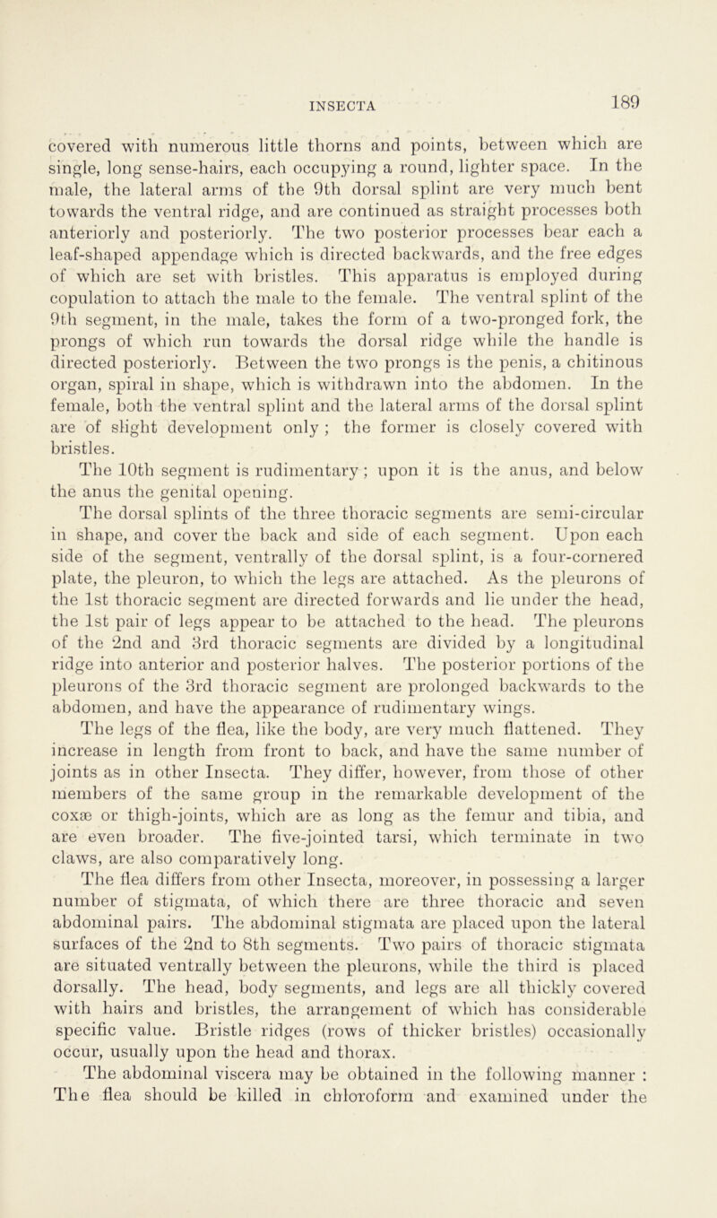 covered with numerous little thorns and points, between which are single, long sense-hairs, each occupying a round, lighter space. In the male, the lateral arms of the 9th dorsal splint are very much bent towards the ventral ridge, and are continued as straight processes both anteriorly and posteriorly. The two posterior processes bear each a leaf-sliaped appendage which is directed backwards, and the free edges of which are set with bristles. This apparatus is employed during copulation to attach the male to the female. The ventral splint of the 9fh segment, in the male, takes the form of a two-pronged fork, the prongs of which run towards the dorsal ridge while the handle is directed posteriori}7. Between the two prongs is the penis, a chitinous organ, spiral in shape, which is withdrawn into the abdomen. In the female, both the ventral splint and the lateral arms of the dorsal splint are of slight development only ; the former is closely covered with bristles. The lOth segment is rudimentary; upon ifc is the anus, and below the anus the genital opening. The dorsal splints of the three thoracic Segments are semi-circular in shape, and cover the back and side of each segment. Upon each side of the segment, ventrally of the dorsal splint, is a four-cornered plate, the pleuron, to which the legs are attached. As the pleurons of the Ist thoracic segment are directed forwards and lie under the head, the Ist pair of legs appear to be attached to the head. The pleurons of the 2nd and 3rd thoracic segments are divided by a longitudinal ridge into anterior and posterior halves. The posterior portions of the pleurons of the 3rd thoracic segment are prolonged backwards to the abdomen, and have the appearance of rudimentary wings. The legs of the flea, like the body, are very much flattened. They increase in length from front to back, and have the same number of joints as in other Insecta. They differ, however, from tliose of other members of the same group in the remarkable development of the coxae or thigh-joints, which are as long as the femur and tibia, and are even broader. The five-jointed tarsi, which terminate in two claws, are also comparatively long. The flea differs from other Insecta, moreover, in possessing a larger number of Stigmata, of which there are three thoracic and seven abdominal pairs. The abdominal Stigmata are placed upon the lateral surfaces of the 2nd to 8th segments. Two pairs of thoracic Stigmata are situated ventrally between the pleurons, while the third is placed dorsally. The head, body segments, and legs are all thickly covered with hairs and bristles, the arrangement of which has considerable specific value. Bristle ridges (rows of thicker bristles) occasionally occur, usually upon the head and thorax. The abdominal viscera may be obtained in the following manner : The flea should be killed in Chloroform and examined under the