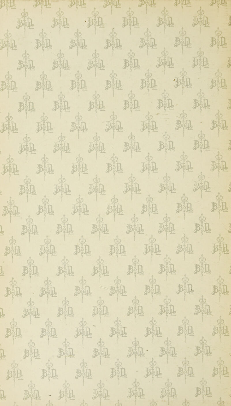 0 pfi P?i Ä pm p(m Ä PÄ ;' Ä Pli Pli ui Pfi Pli Pfi ® 1 pfi Pli Pli Pfi 4 M Ä • *&•. Sr r\. I fff r\. I GV fT>.i