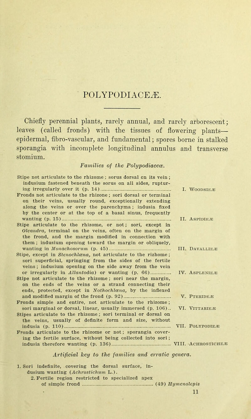 POLYPODIACEtE. Chiefly perennial plants, rarely annual, and rarely arborescent; leaves (called fronds) with the tissues of flowering plants— epidermal, fibro-vascular, and fundamental; spores borne in stalked sporangia with incomplete longitudinal annulus and transverse stomium. Families of the Polypodiacece. Stipe not articulate to the rhizome ; sorus dorsal on its vein ; indusium fastened beneath the sorus on all sides, ruptur- ing irregularly over it (p. 14) I. Woodsies Fronds not articulate to the rhizone ; sori dorsal or terminal on their veins, usually round, exceptionally extending along the veins or over the parenchyma; indusia fixed by the center or at the top of a basal sinus, frequently wanting (p. 15) II. Aspidies Stipe articulate to the rhizome, or not; sori, except in Oleandra, terminal on the veins, often on the margin of the frond, and the margin modified in connection with them ; indusium opening toward the margin or obliquely. wanting in Monachosorum (p. 45) III. Davallies Stipe, except in Stenoclilcena, not articulate to the rizhome ; sori superficial, springing from the sides of the fertile veins ; indusium opening on the side away from the vein or irregularly in Allantodia) or wanting (p. 66) IV. Asplenies Stipe not articulate to the rhizome ; sori near the margin, on the ends of the veins or a strand connecting their ends, protected, except in Notliochlcena, by the indexed and modified margin of the frond (p. 92) ., V. Pterides Fronds simple and entire, not articulate to the rhizome ; sori marginal or dorsal, linear, usually immersed (p. 106).. VI. Vittaries Stipes articulate to the rhizome ; sori terminal or dorsal on the veins, usually of definite form and size, without indusia (p. 110) VII. Polypodies Fronds articulate to the rhizome or not; sporangia cover- ing the fertile surface, without being collected into sori ; indusia therefore wanting (p. 136) VIII. Achrostiches Artificial key to the families and erratic genera. 1. Sori indefinite, covering the dorsal surface, in- dusium wanting (Achrosticlium L.). 2. Fertile region restricted to specialized apex of simple frond (49) Hymenolepis