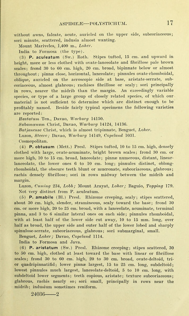 without awns, falcate, acute, auricled on the upper side, subcoriaceous; sori minute, scattered, indusia almost wanting. Mount Mariveles, 1,400 m., Loher. India to Formosa (the type). (3) P. aculeatum (Sw.) Roth. Stipes tufted, 15 cm. and upward in height, more or less clothed with ovate-lanceolate and fibrillose pale brown scales; frond 30 to 60 cm. high, 20 cm. broad, bipinnate below or almost throughout; pinnae close, horizontal, lanceolate; pinnules ovate-rhomboidal, oblique, auricled on the acroseopic side at base, aristate-serrate, sub- coriaceous, almost glabrous; rachises fibrillose or scaly; sori principally in rows, nearer the midrib than the margin. An exceedingly variable species, or type of a large group of closely related species, of which our material is not sufficient to determine which are distinct enough to be profitably named. Beside fairly typical specimens the following varieties are reported: Hastatum Ten., Davao, Warburg 14150. Subamoenum Christ, Davao, Warburg 14124, 14136. Batjanense Christ, which is almost tripinnate, Benguet, Loher. Luzon, Steere; Davao, Warburg 14149, Copeland 1031. Cosmopolitan. (4) P. obtusum (Mett.) Presl. Stipes tufted, 10 to 15 cm. high, densely clothed with large, ovate-acuminate, bright brown scales; frond 30 cm. or more high, 10 to 15 cm. broad, lanceolate; pinnae numerous, distant, linear- lanceolate, the lower ones 6 to 10 cm. long; pinnules distinct, oblong- rhomboidal, the obscure teeth blunt or mucronate, subcoriaceous, glabrous; rachis densely fibrillose; sori in rows midway between the midrib and margin. Luzon, Cuming 234, Lobb; Mount Arayat, Loher; Baguio, Topping 179. Not very distinct from P. aculeatum. (5) P. amabile (Bl.) Presl. Rhizome creeping, scaly; stipes scattered, about 30 cm. high, slender, stramineous, scaly toward the base; frond 30 cm. or more high, 20 to 25 cm. broad, with a lanceolate, acuminate, terminal pinna, and 3 to 6 similar lateral ones on each side; pinnules rhomboidal, with at least half of the lower side cut away, 10 to 15 mm. long, over half as broad, the upper side and outer half of the lower lobed and sharply spinulose-serrate, subcoriaceous, glabrous; sori submarginal, small. Benguet, Loher; Davao, Copeland 1114. India to Formosa and Java. (6) P. aristatum (Sw.) Presl. Rhizome creeping; stipes scattered, 30 to 50 cm. high, clothed at least toward the base with linear or fibrillose scales; frond 30 to 60 cm. high, 20 to 30 cm. broad, ovate-deltoid, tri- or quadripinnatifid; lower pinnae largest, 15 to 25 cm. long, subdeltoid; lowest pinnules much largest, lanceolate-deltoid, 5 to 10 cm. long, with subdeltoid lower segments; teeth copious, aristate; texture subcoriaceous; glabrous, rachis nearly so; sori small, principally in rows near the midrib; indusium sometimes reniform. 24036 2