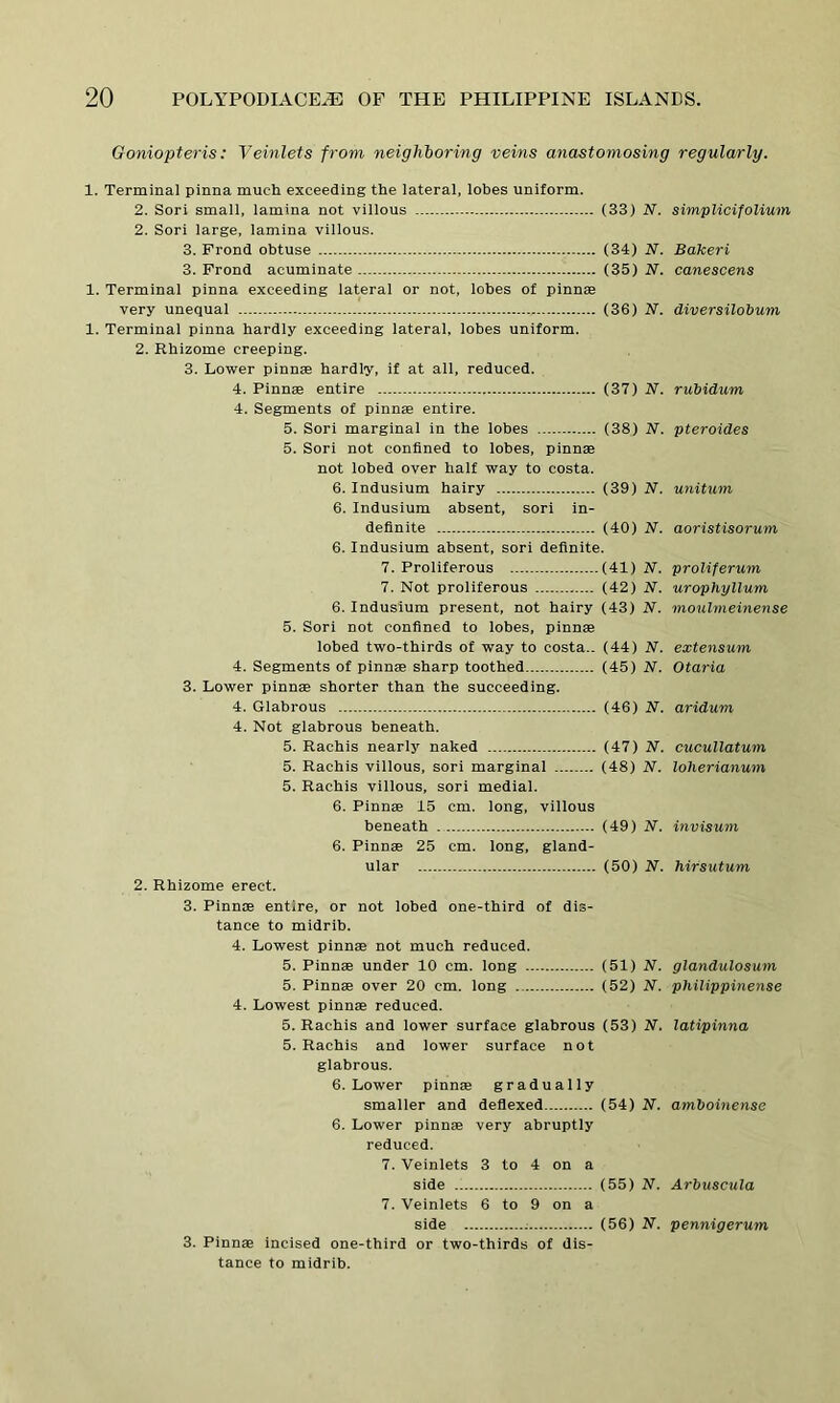 Goniopteris: Veinlets from neighboring veins anastomosing regularly. 1. Terminal pinna much exceeding the lateral, lobes uniform. 2. Sori small, lamina not villous (33) N. 2. Sori large, lamina villous. 3. Frond obtuse (34) N. 3. Frond acuminate (35) N. 1. Terminal pinna exceeding lateral or not, lobes of pinnae very unequal (36) N. 1. Terminal pinna hardly exceeding lateral, lobes uniform. 2. Rhizome creeping. 3. Lower pinnae hardly, if at all, reduced. 4. Pinnae entire (37) N. 4. Segments of pinnae entire. 5. Sori marginal in the lobes (38) N. 5. Sori not confined to lobes, pinnae not lobed over half way to costa. 6. Indusium hairy (39) N. 6. Indusium absent, sori in- definite (40) N. 6. Indusium absent, sori definite. 7. Proliferous (41) N. 7. Not proliferous (42) N. 6. Indusium present, not hairy (43) N. 5. Sori not confined to lobes, pinnae lobed two-thirds of way to costa.. (44) N. 4. Segments of pinnae sharp toothed (45) N. 3. Lower pinnae shorter than the succeeding. 4. Glabrous (46) N. 4. Not glabrous beneath. 5. Rachis nearly naked (47) N. 5. Rachis villous, sori marginal (48) N. 5. Rachis villous, sori medial. 6. Pinnae 15 cm. long, villous beneath (49) N. 6. Pinnae 25 cm. long, gland- ular (50) N. 2. Rhizome erect. 3. Pinnae entire, or not lobed one-third of dis- tance to midrib. 4. Lowest pinnae not much reduced. 5. Pinnae under 10 cm. long (51) N. 5. Pinnae over 20 cm. long (52) N. 4. Lowest pinnae reduced. 5. Rachis and lower surface glabrous (53) N. 5. Rachis and lower surface not glabrous. 6. Lower pinnae gradually smaller and deflexed (54) N. 6. Lower pinnae very abruptly reduced. 7. Veinlets 3 to 4 on a side (55) N. 7. Veinlets 6 to 9 on a side .• (56) N. 3. Pinnae incised one-third or two-thirds of dis- tance to midrib. s implicif olium Bakeri canescens diversilobum rubidum pteroides unitum aoristisoruin proliferum uropliyllum moulmeinense extensum Otaria aridum cucullatum lolierianum invisum hirsutum glandulosum philippinense latipinna amboinense Arbuscula pennigerum