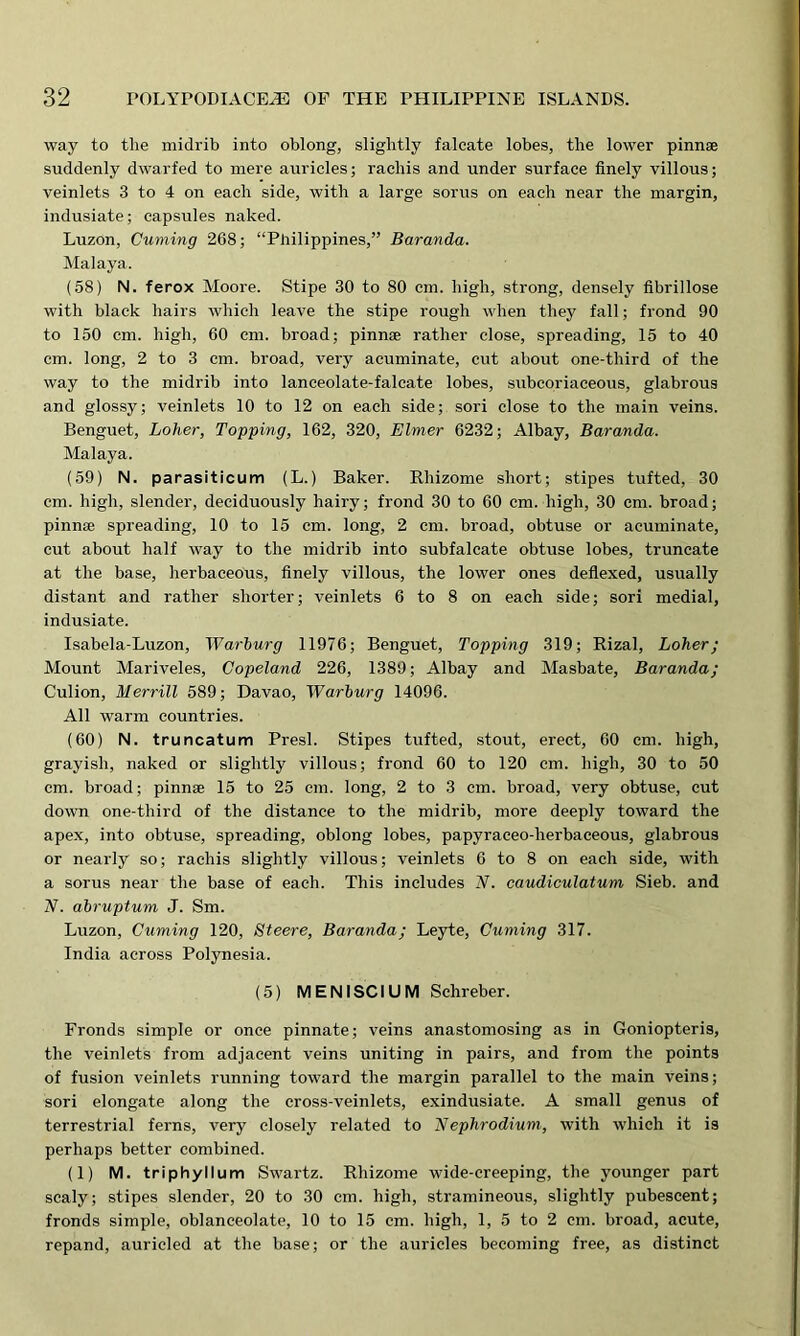 way to the midrib into oblong, slightly falcate lobes, the lower pinnae suddenly dwarfed to mere auricles; racliis and under surface finely villous; veinlets 3 to 4 on each side, with a large sorus on each near the margin, indusiate; capsules naked. Luzon, Cuming 268; “Philippines,” Baranda. Malaya. (58) N. ferox Moore. Stipe 30 to 80 cm. high, strong, densely fibrillose with black hairs which leave the stipe rough when they fall; frond 90 to 150 cm. high, 60 cm. broad; pinnae rather close, spreading, 15 to 40 cm. long, 2 to 3 cm. broad, very acuminate, cut about one-third of the way to the midrib into lanceolate-falcate lobes, subcoriaceous, glabrous and glossy; veinlets 10 to 12 on each side; sori close to the main veins. Benguet, Loher, Topping, 162, 320, Elmer 6232; Albay, Baranda. Malaya. (59) N. parasiticum (L.) Baker. Rhizome short; stipes tufted, 30 cm. high, slender, deciduously hairy; frond 30 to 60 cm. high, 30 cm. broad; pinnae spreading, 10 to 15 cm. long, 2 cm. broad, obtuse or acuminate, cut about half way to the midrib into subfalcate obtuse lobes, truncate at the base, herbaceous, finely villous, the lower ones deflexed, usually distant and rather shorter; veinlets 6 to 8 on each side; sori medial, indusiate. Isabela-Luzon, Warburg 11976; Benguet, Topping 319; Rizal, Loher; Mount Mariveles, Copeland 226, 1389; Albay and Masbate, Baranda; Culion, Merrill 589; Davao, Warburg 14096. All warm countries. (60) N. truncatum Presl. Stipes tufted, stout, erect, 60 cm. high, grayish, naked or slightly villous; frond 60 to 120 cm. high, 30 to 50 cm. broad; pinnae 15 to 25 cm. long, 2 to 3 cm. broad, very obtuse, cut down one-third of the distance to the midrib, more deeply toward the apex, into obtuse, spreading, oblong lobes, papyraceo-herbaceous, glabrous or nearly so; raehis slightly villous; veinlets 6 to 8 on each side, with a sorus near the base of each. This includes N. caudiculatum Sieb. and N. abruptum J. Sm. Luzon, Cuming 120, Steere, Baranda; Leyte, Cuming 317. India across Polynesia. (5) MEN I SC IU M Schreber. Fronds simple or once pinnate; veins anastomosing as in Goniopteris, the veinlets from adjacent veins uniting in pairs, and from the points of fusion veinlets running toward the margin parallel to the main veins; sori elongate along the cross-veinlets, exindusiate. A small genus of terrestrial ferns, very closely related to Nephrodium, with which it is perhaps better combined. (1) M. triphyllum Swartz. Rhizome wide-creeping, the younger part scaly; stipes slender, 20 to 30 cm. high, stramineous, slightly pubescent; fronds simple, oblanceolate, 10 to 15 cm. high, 1, 5 to 2 cm. broad, acute, repand, auricled at the base; or the auricles becoming free, as distinct