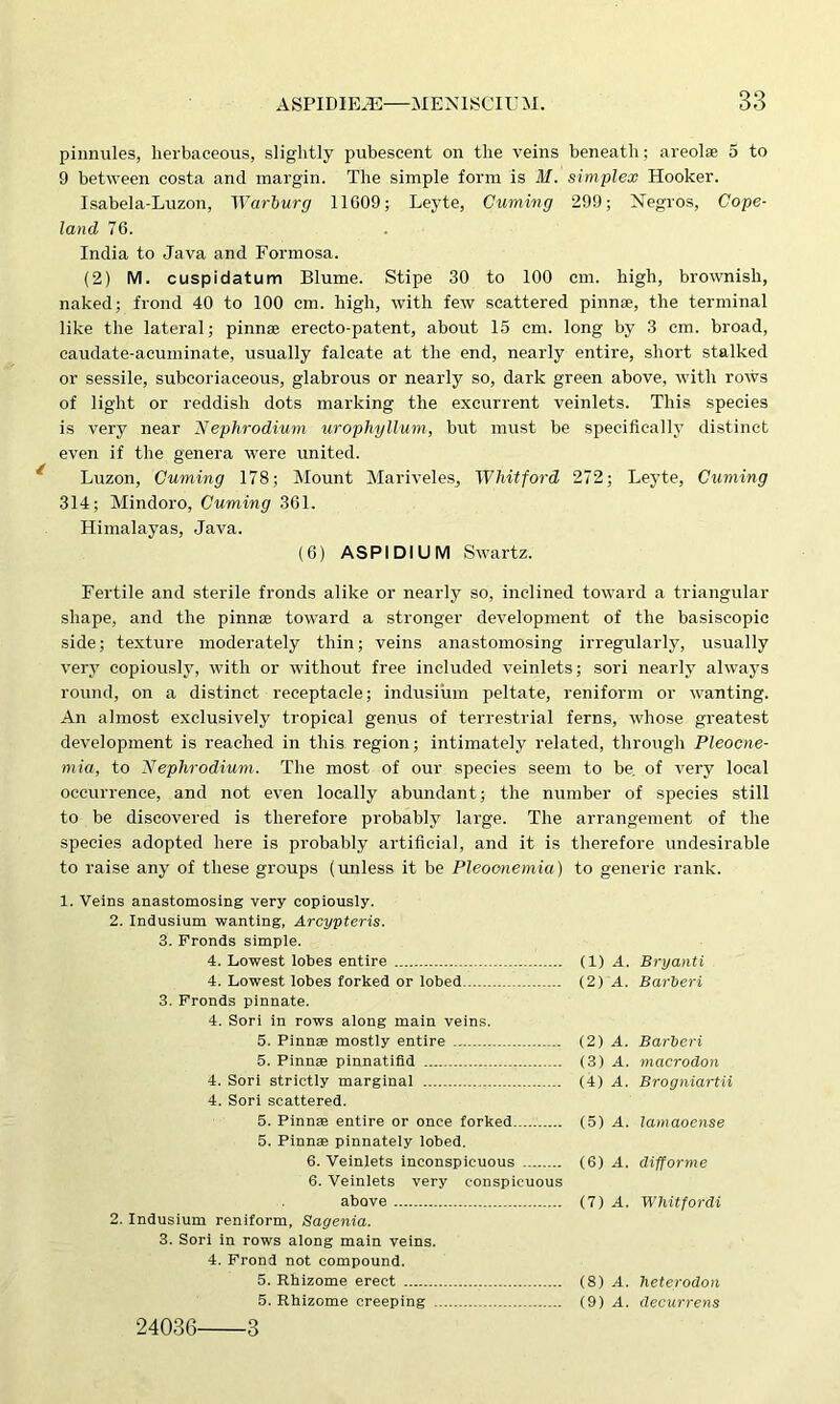 pinnules, herbaceous, slightly pubescent on the veins beneath; areolae 5 to 9 between costa and margin. The simple form is M. simplex Hooker. Isabela-Luzon, Warburg 11009; Leyte, Cuming 299; Negros, Cope- land 76. India to Java and Formosa. (2) M. cuspidatum Blume. Stipe 30 to 100 cm. high, brownish, naked; frond 40 to 100 cm. high, with few scattered pinnae, the terminal like the lateral; pinnae erecto-patent, about 15 cm. long by 3 cm. broad, caudate-acuminate, usually falcate at the end, nearly entire, short stalked or sessile, subcoriaceous, glabrous or nearly so, dark green above, with rows of light or reddish dots marking the excurrent veinlets. This species is very near Nephrodium urophyllum, but must be specifically distinct even if the genera were united. Luzon, Cuming 178; Mount Mariveles, Whitford 272; Leyte, Cuming 314; Mindoro, Cuming 361. Himalayas, Java. (6) ASPIDIUM Swartz. Fertile and sterile fronds alike or nearly so, inclined toward a triangular shape, and the pinnae toward a stronger development of the basiscopic side; texture moderately thin; veins anastomosing irregularly, usually very copiously, with or without free included veinlets; sori nearly always round, on a distinct receptacle; indusium peltate, reniform or wanting. An almost exclusively tropical genus of terrestrial ferns, whose greatest development is reached in this region; intimately related, through Pleocne- mia, to Nephrodium. The most of our species seem to be. of very local occurrence, and not even locally abundant; the number of species still to be discovered is therefore probably large. The arrangement of the species adopted here is probably artificial, and it is therefore undesirable to raise any of these groups (unless it be Pleoonemia) to generic rank. 1. Veins anastomosing very copiously. 2. Indusium wanting, Arcypteris. 3. Fronds simple. 4. Lowest lobes entire (1) A. Bryanti 4. Lowest lobes forked or lobed (2) .4. Barberi 3. Fronds pinnate. 4. Sori in rows along main veins. 5. Pinnae mostly entire (2) A. Barberi 5. Pinnae pinnatifid (3) A. macrodon 4. Sori strictly marginal (4) A. Brogniartii 4. Sori scattered. 5. Pinnae entire or once forked (5) A. lamaoense 5. Pinnae pinnately lobed. 6. Veinlets inconspicuous (6) A. difforme 6. Veinlets very conspicuous above (7) A. Whitfordi 2. Indusium reniform, Sagenia. 3. Sori in rows along main veins. 4. Frond not compound. 5. Rhizome erect (8) A. heterodon 5. Rhizome creeping (9) A. decurrens 24036 3