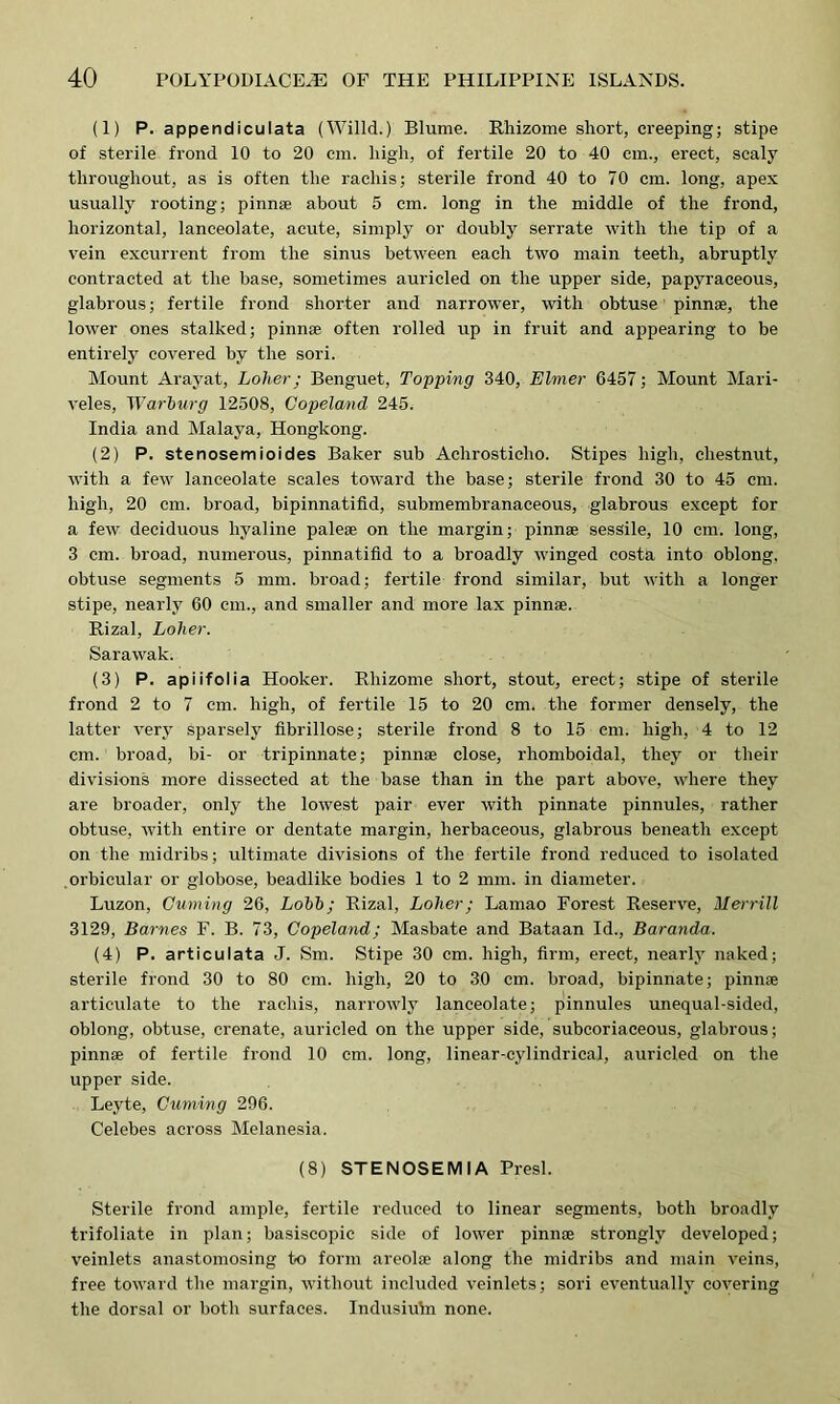 (1) P. appendiculata (Willd.) Blume. Rhizome short, creeping; stipe of sterile frond 10 to 20 cm. high, of fertile 20 to 40 cm., erect, scaly throughout, as is often the rachis; sterile frond 40 to 70 cm. long, apex usually rooting; pinnae about 5 cm. long in the middle of the frond, horizontal, lanceolate, acute, simply or doubly serrate with the tip of a vein excurrent from the sinus between each two main teeth, abruptly contracted at the base, sometimes auricled on the upper side, papyraceous, glabrous; fertile frond shorter and narrower, with obtuse pinnae, the lower ones stalked; pinnae often rolled up in fruit and appearing to be entirely covered by the sori. Mount Arayat, Loher; Benguet, Topping 340, Elmer 6457; Mount Mari- veles, Warburg 12508, Copeland 245. India and Malaya, Hongkong. (2) P. stenosemioides Baker sub Achrostieho. Stipes high, chestnut, with a few lanceolate scales toward the base; sterile frond 30 to 45 cm. high, 20 cm. broad, bipinnatifid, submembranaceous, glabrous except for a few deciduous hyaline paleae on the margin; pinnae sessile, 10 cm. long, 3 cm. broad, numerous, pinnatifid to a broadly winged costa into oblong, obtuse segments 5 mm. broad; fertile frond similar, but with a longer stipe, nearly 60 cm., and smaller and more lax pinnae. Rizal, Loher. Sarawak. (3) P. apiifolia Hooker. Rhizome short, stout, erect; stipe of sterile frond 2 to 7 cm. high, of fertile 15 to 20 cm. the former densely, the latter very sparsely fibrillose; sterile frond 8 to 15 cm. high, 4 to 12 cm. broad, bi- or tripinnate; pinnae close, rhomboidal, they or their divisions more dissected at the base than in the part above, where they are broader, only the lowest pair ever with pinnate pinnules, rather obtuse, with entire or dentate margin, herbaceous, glabrous beneath except on the midribs; ultimate divisions of the fertile frond reduced to isolated orbicular or globose, beadlike bodies 1 to 2 mm. in diameter. Luzon, Cuming 26, Lobb; Rizal, Loher; Lamao Forest Reserve, Merrill 3129, Barnes F. B. 73, Copeland; Masbate and Bataan Id., Baranda. (4) P. articulata J. Sm. Stipe 30 cm. high, firm, erect, nearly naked; sterile frond 30 to 80 cm. high, 20 to 30 cm. broad, bipinnate; pinnse articulate to the rachis, narrowly lanceolate; pinnules unequal-sided, oblong, obtuse, crenate, auricled on the upper side, subcoriaceous, glabrous; pinnse of fertile frond 10 cm. long, linear-cylindrical, auricled on the upper side. Leyte, Cuming 296. Celebes across Melanesia. (8) STENOSEMIA Presl. Sterile frond ample, fertile reduced to linear segments, both broadly trifoliate in plan; basiscopic side of lower pinnae strongly developed; veinlets anastomosing to form areolae along the midribs and main veins, free toward the margin, without included veinlets; sori eventually covering the dorsal or both surfaces. Indusium none.