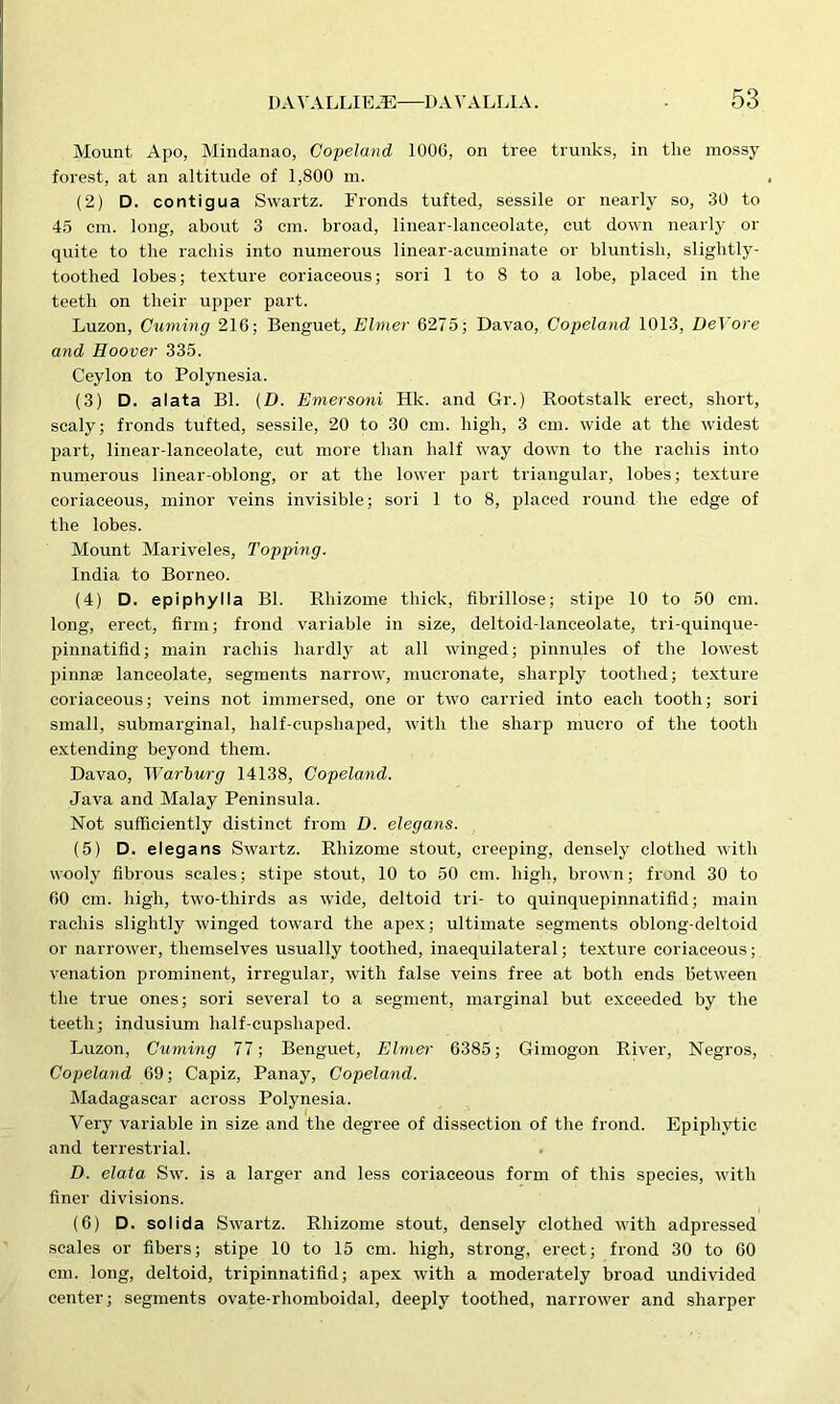 Mount Apo, Mindanao, Copeland 100G, on tree trunks, in the mossy forest, at an altitude of 1,800 m. (2) D. contigua Swartz. Fronds tufted, sessile or nearly so, 30 to 45 cm. long, about 3 cm. broad, linear-lanceolate, cut down nearly or quite to the rachis into numerous linear-acuminate or bluntish, slightly- toothed lobes; texture coriaceous; sori 1 to 8 to a lobe, placed in the teeth on their upper part. Luzon, Cuming 216; Benguet, Elmer 6275; Davao, Copeland 1013, DeVore and Hoover 335. Ceylon to Polynesia. (3) D. alata Bl. (D. Emersoni Hk. and Gr.) Rootstalk erect, short, scaly; fronds tufted, sessile, 20 to 30 cm. high, 3 cm. wide at the widest part, linear-lanceolate, cut more than half way down to the rachis into numerous linear-oblong, or at the lower part triangular, lobes; texture coriaceous, minor veins invisible; sori 1 to 8, placed round the edge of the lobes. Mount Mariveles, Topping. India to Borneo. (4) D. epiphylla Bl. Rhizome thick, fibrillose; stipe 10 to 50 cm. long, erect, firm; frond variable in size, deltoid-lanceolate, tri-quinque- pinnatifid; main rachis hardly at all winged; pinnules of the lowest pinnae lanceolate, segments narrow, mucronate, sharply toothed; texture coriaceous; veins not immersed, one or two carried into each tooth; sori small, submarginal, half-cupshaped, with the sharp mucro of the tooth extending beyond them. Davao, Warburg 14138, Copeland. Java and Malay Peninsula. Not sufficiently distinct from D. elegans. (5) D. elegans Swartz. Rhizome stout, creeping, densely clothed with wooly fibrous scales; stipe stout, 10 to 50 cm. high, brown; frond 30 to 60 cm. high, two-thirds as wide, deltoid tri- to quinquepinnatifid; main rachis slightly winged toward the apex; ultimate segments oblong-deltoid or narrower, themselves usually toothed, inaequilateral; texture coriaceous; venation prominent, irregular, with false veins free at both ends between the true ones; sori several to a segment, marginal but exceeded by the teeth; indusium half-cupsliaped. Luzon, Cuming 77; Benguet, Elmei' 6385; Gimogon River, Negros, Copeland 69; Capiz, Panay, Copeland. Madagascar across Polynesia. Very variable in size and the degree of dissection of the frond. Epiphytic and terrestrial. D. elata Sw. is a larger and less coriaceous form of this species, with finer divisions. (6) D. solida Swartz. Rhizome stout, densely clothed with adpressed scales or fibers; stipe 10 to 15 cm. high, strong, erect; frond 30 to 60 cm. long, deltoid, tripinnatifid; apex with a moderately broad undivided center; segments ovate-rhomboidal, deeply toothed, narrower and sharper