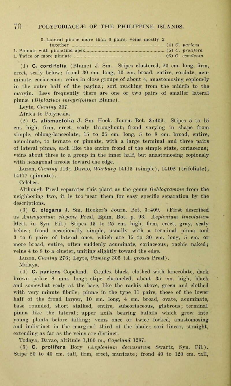 3. Lateral pinnae more than 6 pairs, veins mostly 2 together (4) C. pariens 1. Pinnate with pinnatifid apex (5) C. prolifera 1. Twice or more pinnate (6) C. esculenta (1) C. cordifolia (Blume) J. Sm. Stipes clustered, 20 cm. long, firm, erect, scaly below; frond 30 cm. long, 10 cm. broad, entire, cordate, acu- minate, coriaceous; veins in close groups of about 4, anastomosing copiously in the outer half of the pagina; sori reaching from the midrib to the margin. Less frequently there are one or two pairs of smaller lateral pinnae (Diplasdum integrifolium Blume). Leyte, Cuming 307. Africa to Polynesia. (2) C. alismaefolia J. Sm. Hook. Journ. Bot. 3:409. Stipes 5 to 15 cm. high, firm, erect, scaly throughout; frond varying in shape from simple, oblong-lanceolate, 15 to 25 cm. long, 5 to 8 cm. broad, entire, acuminate, to ternate or pinnate, with a large terminal and three pairs of lateral pinnae, each like the entire frond of the simple state, coriaceous; veins about three to a group in the inner half, but anastomosing copiously with hexagonal areolae toward the edge. Luzon, Cuming 116; Davao, Warburg 14115 (simple), 14102 (trifoliate), 14177 (pinnate). Celebes. Although Presl separates this plant as the genus Ochlogramme from the neighboring two, it is too 'near them for easy specific separation by the descriptions. (3) C. elegans J. Sm. Hooker’s Journ. Bot. 3:409. (First described as Anisogonium elegans Presl, Epim. Bot. p. 93. Asplenium lineolatum Mett. in Syn. Fil.) Stipes 15 to 25 cm. high, firm, erect, gray, scaly below; frond occasionally simple, usually with a terminal pinna and 3 to 6 pairs of lateral ones, which are 15 to 30 cm. long, 5 cm. or more broad, entire, often suddenly acuminate, coriaceous; rachis naked; veins 4 to 8 to a cluster, uniting slightly toward the edge. Luzon, Cuming 276; Leyte, Cuming 305 (.4. grossa Presl). Malaya. (4) C. pariens Copeland. Caudex black, clothed with lanceolate, dark brown paleae 8 mm. long; stipe channeled, about 35 cm. high, black and somewhat scaly at the base, like the rachis above, green and clothed with very minute fibrils; pinnae in the type 11 pairs, those of the lower half of the frond larger, 10 cm. long, 4 cm. broad, ovate, acuminate, base rounded, short stalked, entire, subcoriaceous, glabrous; terminal pinna like the lateral; upper axils bearing bulbils which grow into young plants before falling; veins once or twice forked, anastomosing and indistinct in the marginal third of the blade; sori linear, straight, extending as far as the veins are distinct. Todaya, Davao, altitude 1,100 m., Copeland 1287. (5) C. prolifera Bory [Asplenium decussatum Swartz, Syn. Fil.). Stipe 20 to 40 cm. tall, firm, erect, muricate; frond 40 to 120 cm. tall,