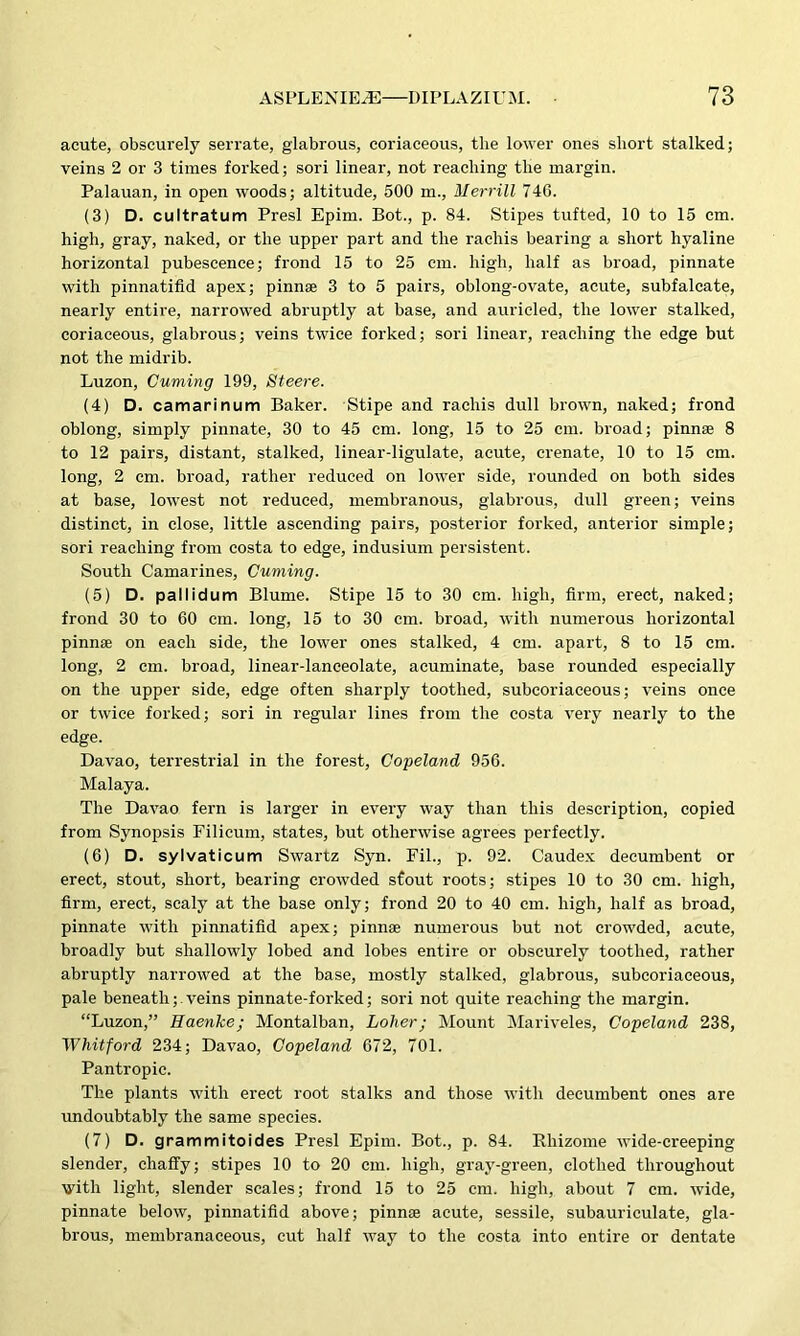 acute, obscurely serrate, glabrous, coriaceous, the lower ones short stalked; veins 2 or 3 times forked; sori linear, not reaching the margin. Palauan, in open woods; altitude, 500 m., Merrill 740. (3) D. cultratum Presl Epim. Bot., p. 84. Stipes tufted, 10 to 15 cm. high, gray, naked, or the upper part and the rachis bearing a short hyaline horizontal pubescence; frond 15 to 25 cm. high, half as broad, pinnate with pinnatifid apex; pinnae 3 to 5 pairs, oblong-ovate, acute, subfalcate, nearly entire, narrowed abruptly at base, and auricled, the lower stalked, coriaceous, glabrous; veins twice forked; sori linear, reaching the edge but not the midrib. Luzon, Cuming 199, Steere. (4) D. camarinum Baker. Stipe and rachis dull brown, naked; frond oblong, simply pinnate, 30 to 45 cm. long, 15 to 25 cm. broad; pinnae 8 to 12 pairs, distant, stalked, linear-ligulate, acute, crenate, 10 to 15 cm. long, 2 cm. broad, rather reduced on lower side, rounded on both sides at base, lowest not reduced, membranous, glabrous, dull green; veins distinct, in close, little ascending pairs, posterior forked, anterior simple; sori reaching from costa to edge, indusium persistent. South Camarines, Cuming. (5) D. pallidum Blume. Stipe 15 to 30 cm. high, firm, erect, naked; frond 30 to 60 cm. long, 15 to 30 cm. broad, with numerous horizontal pinnae on each side, the lower ones stalked, 4 cm. apart, 8 to 15 cm. long, 2 cm. broad, linear-lanceolate, acuminate, base rounded especially on the upper side, edge often sharply toothed, subcoriaceous; veins once or twice forked; sori in regular lines from the costa very nearly to the edge. Davao, terrestrial in the forest, Copeland 956. Malaya. The Davao fern is larger in every way than this description, copied from Synopsis Filicum, states, but otherwise agrees perfectly. (6) D. sylvaticum Swartz Syn. Fil., p. 92. Caudex decumbent or erect, stout, short, bearing crowded stout roots; stipes 10 to 30 cm. high, firm, erect, scaly at the base only; frond 20 to 40 cm. high, half as broad, pinnate with pinnatifid apex; pinnae numerous but not crowded, acute, broadly but shallowly lobed and lobes entire or obscurely toothed, rather abruptly narrowed at the base, mostly stalked, glabrous, subcoriaceous, pale beneath;.veins pinnate-forked; sori not quite reaching the margin. “Luzon,” Haenke; Montalban, Loher; Mount Mariveles, Copeland 238, Whitford 234; Davao, Copeland 672, 701. Pantropic. The plants with erect root stalks and those with decumbent ones are undoubtably the same species. (7) D. grammitoides Presl Epim. Bot., p. 84. Rhizome wide-creeping slender, chaffy; stipes 10 to 20 cm. high, gray-green, clothed throughout with light, slender scales; frond 15 to 25 cm. high, about 7 cm. wide, pinnate below, pinnatifid above; pinnae acute, sessile, subauriculate, gla- brous, membranaceous, cut half way to the costa into entire or dentate