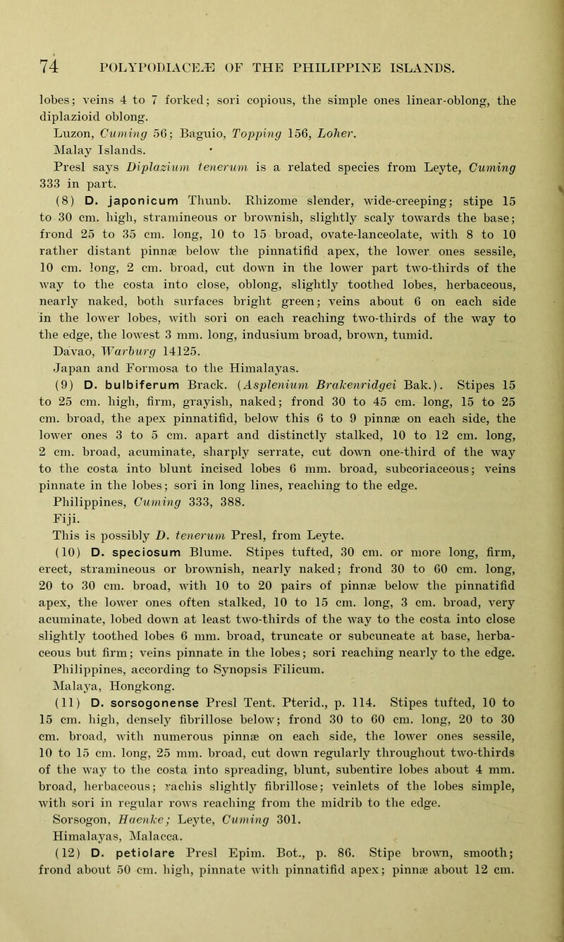 lobes; veins 4 to 7 forked; sori copious, the simple ones linear-oblong, the diplazioid oblong. Luzon, Cuming 56; Baguio, Topping 156, Lolier. Malay Islands. Presl says Diplazium tenerum is a related species from Leyte, Cuming 333 in part. (8) D. japonicum Thunb. Rhizome slender, wide-creeping; stipe 15 to 30 cm. high, stramineous or brownish, slightly scaly towards the base; frond 25 to 35 cm. long, 10 to 15 broad, ovate-lanceolate, with 8 to 10 rather distant pinnae below the pinnatifid apex, the lower ones sessile, 10 cm. long, 2 cm. broad, cut down in the lower part two-thirds of the way to the costa into close, oblong, slightly toothed lobes, herbaceous, nearly naked, both surfaces bright green; veins about 6 on each side in the lower lobes, with sori on each reaching two-thirds of the way to the edge, the lowest 3 mm. long, indusium broad, brown, tumid. Davao, Warburg 14125. Japan and Formosa to the Himalayas. (9) D. bulbiferum Brack. (Asplenium Brakenridgei Bak.). Stipes 15 to 25 cm. high, firm, grayish, naked; frond 30 to 45 cm. long, 15 to 25 cm. broad, the apex pinnatifid, below this 6 to 9 pinnae on each side, the lower ones 3 to 5 cm. apart and distinctly stalked, 10 to 12 cm. long, 2 cm. broad, acuminate, sharply serrate, cut down one-third of the way to the costa into blunt incised lobes 6 mm. broad, subcoriaceous; veins pinnate in the lobes; sori in long lines, reaching to the edge. Philippines, Cuming 333, 388. Fiji. This is possibly D. tenerum Presl, from Leyte. (10) D. speciosum Blume. Stipes tufted, 30 cm. or more long, firm, erect, stramineous or brownish, nearly naked; frond 30 to 60 cm. long, 20 to 30 cm. broad, with 10 to 20 pairs of pinnae below the pinnatifid apex, the lower ones often stalked, 10 to 15 cm. long, 3 cm. broad, very acuminate, lobed down at least two-thirds of the way to the costa into close slightly toothed lobes 6 mm. broad, truncate or subcuneate at base, herba- ceous but firm; veins pinnate in the lobes; sori reaching nearly to the edge. Philippines, according to Synopsis Filieum. Malaya, Hongkong. (11) D. sorsogonense Presl Tent. Pterid., p. 114. Stipes tufted, 10 to 15 cm. high, densely fibrillose below; frond 30 to 60 cm. long, 20 to 30 cm. broad, with numerous pinnae on each side, the lower ones sessile, 10 to 15 cm. long, 25 mm. broad, cut down regularly throughout two-tliirds of the way to the costa into spreading, blunt, subentire lobes about 4 mm. broad, herbaceous; rachis slightly fibrillose; veinlets of the lobes simple, with sori in regular rows reaching from the midrib to the edge. Sorsogon, Eaenke; Leyte, Cuming 301. Himalayas, Malacca. (12) D. petiolare Presl Epim. Bot., p. 86. Stipe brown, smooth; frond about 50 cm. high, pinnate with pinnatifid apex; pinnae about 12 cm.