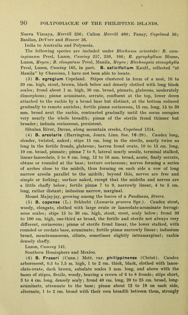 Nueva Vizcaya, Merrill 256; Culion Merrill 480; Panay, Copeland 56; Basilan, DeVore and Hoover 56. India to Australia and Polynesia. The following species are included under Blechnum orientale: B. cum- ingianum Presl, Luzon, Cuming 257, 259, 166; B. pyrophyllum Blume, Luzon, Meyen; B. elongatum Presl, Manila, Meyen; Blechnopsis stenophylla Presl, Luzon, Cuming 165, in part. B. salicifolium Kaulf., collected “at Manila” by Chamisso, I have not been able to locate. (3) B. egregium Copeland. Stipes clustered in form of a nest, 10 to 20 cm. high, stout, brown, black below and densely clothed with long black scales; frond about 1 m. high, 30 cm. broad, pinnate, glabrous, moderately dimorphous; pinnse acuminate, serrate, confluent at the top, lower down attached to the rachis by a broad base but distinct, at the bottom reduced gradually to remote auricles; fertile pinnae coriaceous, 15 cm. long, 15 to 20 mm. broad next the rachis, contracted gradually until the sorus occupies very nearly the whole breadth; pinnae of the sterile frond thinner but broader; indusia coriaceous, persistent. Sibulan River, Davao, along mountain creeks, Copeland 1314. (4) B. areolaris (Harrington, Journ. Linn. Soc. 16:28). Caudex long, slender, twisted, naked; stipe 15 cm. long in the sterile, nearly twice as long in the fertile fronds, glabrous; barren frond ovate, 10 to 15 cm. long, 10 cm. broad, pinnate; pinnae 7 to 9, lateral nearly sessile, terminal stalked, linear-lanceolate, 5 to 8 cm. long, 12 to 16 mm. broad, acute, finely serrate, obtuse or rounded at the base; texture coriaceous; nerves forming a series of arches close to the midrib, thus forming on each side a row of long narrow areolae parallel to the midrib; beyond this, nerves are free and simple or forking; surface naked, except that the midribs and nerves are a little chaffy below; fertile pinnae 7 to 9, narrowly linear, 4 to 5 cm. long, rather distant; indusium narrow, marginal. Mount Majayjay, growing among the leaves of a Pandanus, Steere. (5) B. capense (L.) Schlecht (Lomaria procera Spr.). Caudex stout, woody, elongate, clothed with large ovate or lanceolate-acuminate ferrugi- nous scales; stipe 15 to 30 cm. high, stout, erect, scaly below; frond 30 to 100 cm. high, one-third as broad, the fertile and sterile not always very different, coriaceous; pinnae of sterile frond linear, the lower stalked, with rounded or cordate base, acuminate; fertile pinnae narrowly linear; indusium broad, membranaceous, ciliate, sometimes slightly intramarginal; rachis densely chaffy. Luzon, Cuming 141. Southern Hemisphere and Mexico. (6) B. Fraseri (Cunn.) Mett. var. philippinense (Christ). Caudex arborescent, 0.5 to 1.5 m. high, 1 to 2 cm. thick, black, clothed with lance- olate-ovate, dark brown, subulate scales 3 mm. long, and above with the bases of stipes, flexile, woody, bearing a crown of 6 to 8 fronds; stipe short, 3 to 4 cm. long, densely scaly; frond 40 cm. long, 20 to 25 cm. broad, long- acuminate, attenuate to the base; pinnse about 12 to 18 on each side, alternate, 1 to 2 cm. broad with their own breadth between them, strongly