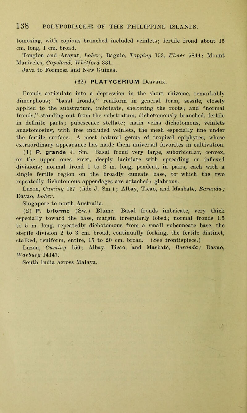 tomosing, with copious branched included veinlets; fertile frond about 15 cm. long, 1 cm. broad. Tonglon and Arayat, Loherj Baguio, Topping 153, Elmer 5844; Mount Mariveles, Copeland, Whitford 331. Java to Formosa and New Guinea. (62) PLATYCERIU M Desvaux. Fronds articulate into a depression in the short rhizome, remarkably dimorphous; “basal fronds,” reniform in general form, sessile, closely applied to the substratum, imbricate, sheltering the roots; and “normal fronds,” standing out from the substratum, dichotomously branched, fertile in definite parts; pubescence stellate; main veins dichotomous, veinlets anastomosing, with free included veinlets, the mesh especially fine under the fertile surface. A most natural genus of tropical epiphytes, whose extraordinary appearance has made them universal favorites in cultivation. (1) P. grande J. Sm. Basal frond very large, suborbicular, convex, or the upper ones erect, deeply laciniate with spreading or indexed division's; normal frond 1 to 2 m. long, pendent, in pairs, each with a single fertile region on the broadly cuneate base, to- which the two repeatedly dichotomous appendages are attached; glabrous. Luzon, Cuming 157 (fide J. Sm.) ; Albay, Ticao, and Masbate, Baranda; Davao, Loher. Singapore to north Australia. (2) P. biforme (Sw.) Blume. Basal fronds imbricate, very thick especially toward the base, margin irregularly lobed; normal fronds 1.5 to 5 m. long, repeatedly dichotomous from a small subcuneate base, the sterile division 2 to 3 cm. broad, continually forking, the fertile distinct, stalked, reniform, entire, 15 to 20 cm. broad. (See frontispiece.) Luzon, Cuming 156; Albay, Ticao, and Masbate, Baranda; Davao, Warburg 14147. South India across Malaya.