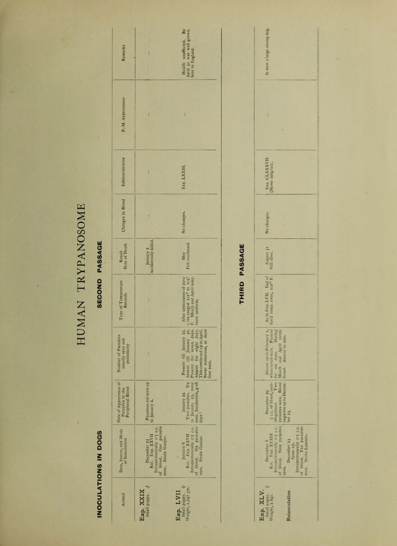 O Q Z co z o I- < -I Remarks Health unaffected. By April 31 was well grown. Sent to England. P.-M. Appearances Subinoculations Exp. LXXIII. Changes in Blood No changes. more uniform. Number of Parasites usually seen and periodicity Present till January 25. Absent till January 31. Present for seven days. Absent for eight days. This continued up to April. Never numerous, at most , Date of Appearance of Parasites in the Peripheral Blood Parasites not seen up to January 2. January 22 Two parasites. U p to January 15, none seen. Incubation,9-16 days ? Date, Source, and Mode of Inoculation December 23 Rat. Exp. XXVII Intraperitoneally 0*5 c.c. of blood. One parasite seen. Strain Gunjur. January 6 Rat. Exp. XXVII Intraperitoneally o-5 c.c. of blood. Six parasites seen. Strain Gunjur. , ,