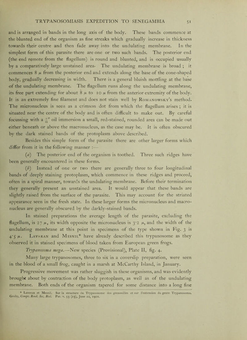 and is arranged in bands in the long axis of the body. These bands commence at the blunted end of the organism as fine streaks which gradually increase in thickness towards their centre and then fade away into the undulating membrane. In the simplest form of this parasite there are one or two such bands. The posterior end (the end remote from the flagellum) is round and blunted, and is occupied usually by a comparatively large unstained area- The undulating membrane is broad ; it commences 8 /x from the posterior end and extends along the base of the cone-shaped body, gradually decreasing in width. There is a general bluish mottling at the base of the undulating membrane. The flagellum runs along the undulating membrane, its free part extending for about 8 /u. to 10 /u. from the anterior extremity of the body. It is an extremely fine filament and does not stain well by Romanowsky’s method. The micronucleus is seen as a crimson dot from which the flagellum arises ; it is situated near the centre of the body and is often difficult to make out. By careful focussing with a oil immersion a small, red-stained, rounded area can be made out either beneath or above the macronucleus, as the case may be. it is often obscured by the dark stained bands of the protoplasm above described. Besides this simple form of the parasite there are other larger forms which differ from it in the following manner :— (<?) The posterior end of the organism is toothed. Three such ridges have been generally encountered in these forms. (F) Instead of one or two there are generally three to four longitudinal bands of deeply staining protoplasm, which commence in these ridges and proceed, often in a spiral manner, towards the undulating membrane. Before their termination they generally present an unstained area. It would appear that these bands are slightly raised from the surface of the parasite. This may account for the striated appearance seen in the fresh state. In these larger forms the micronucleus and macro- nucleus are generally obscured by the darkly-stained bands. In stained preparations the average length of the parasite, excluding the flagellum, is 27 /x, its width opposite the micronucleus is y2 /m, and the width of the undulating membrane at this point in specimens of the type shown in Fig. 3 is 4*5 fx. Lavc.ran and Mesnil* have already described this trypanosome as they observed it in stained specimens of blood taken from European green frogs. Trypanosoma mega.—New species (Provisional), Plate II, fig. 4. Many large trypanosomes, three to six in a coverslip preparation, were seen in the blood of a small frog, caught in a marsh at McCarthy Island, in January. Progressive movement was rather sluggish in these organisms, and was evidently brought about by contraction of the body protoplasm, as well as of the undulating membrane. Both ends of the organism tapered for some distance into a long fine * I.averan et Mesnil. Sur la structure <lu Trypanosome des grenouilles et sur l’extension du genre Trypanosoma. Gruby, Compt. Rend. Soc. Biol. Par. v. 53 (23), June 22, 1901.