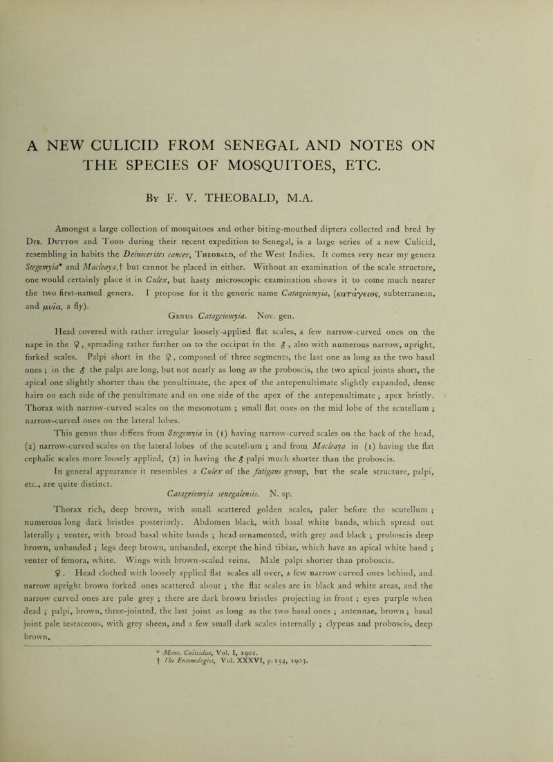 A NEW CULICID FROM SENEGAL AND NOTES ON THE SPECIES OF MOSQUITOES, ETC. By F. V. THEOBALD, M.A. Amongst a large collection of mosquitoes and other biting-mouthed diptera collected and bred by Drs. Dutton and Todd during their recent expedition to Senegal, is a large series of a new Culicid, resembling in habits the Deinoceiites cancer, Theobald, of the West Indies. It comes very near my genera Stegomyia* and Mac/eaya,f but cannot be placed in either. Without an examination of the scale structure, one would certainly place it in Culex, but hasty microscopic examination shows it to come much nearer the two first-named genera. I propose for it the generic name Catageiomyia, (/carceyeio?, subterranean, and //.via, a fly). Genus Catageiomyia. Nov. gen. Head covered with rather irregular loosely-applied flat scales, a few narrow-curved ones on the nape in the 9 > spreading rather further on to the occiput in the $ , also with numerous narrow, upright, forked scales. Palpi short in the 9 > composed of three segments, the last one as long as the two basal ones ; in the $ the palpi are long, but not nearly as long as the proboscis, the two apical joints short, the apical one slightly shorter than the penultimate, the apex of the antepenultimate slightly expanded, dense hairs on each side of the penultimate and on one side of the apex of the antepenultimate ; apex bristly. Thorax with narrow-curved scales on the mesonotum ; small flat ones on the mid lobe of the scutellum ; narrow-curved ones on the lateral lobes. This genus thus differs from Stegomyia in (i) having narrow-curved scales on the back of the head, (2) narrow-curved scales on the lateral lobes of the scutebum ; and from Macleaya in (1) having the flat cephalic scales more loosely applied, (2) in having the $ palpi much shorter than the proboscis. In general appearance it resembles a Culex of the faligans group, but the scale structure, palpi, etc., are quite distinct. Catageiomyia senegalensis. N. sp. Thorax rich, deep brown, with small scattered golden scales, paler before the scutellum ; numerous long dark bristles posteriorly. Abdomen black, with basal white bands, which spread out laterally ; venter, with broad basal white bands ; head ornamented, with grey and black ; proboscis deep brown, unbanded ; legs deep brown, unbanded, except the hind tibiae, which have an apical white band ; venter of femora, white. Wings with brown-scaled veins. Male palpi shorter than proboscis. 9 . Head clothed with loosely applied flat scales all over, a few narrow curved ones behind, and narrow upright brown forked ones scattered about ; the flat scales are in black and white areas, and the narrow curved ones are pale grey ; there are dark brown bristles projecting in front ; eyes purple when dead ; palpi, brown, three-jointed, the last joint as long as the two basal ones ; antennae, brown ; basal joint pale testaceous, with grey sheen, and a few small dark scales internally ; clypeus and proboscis, deep brown. * Mono. Culicidue, Vol. I, 1901. f The Entomologist, Vol. XXXVI, p. 159, 1903.