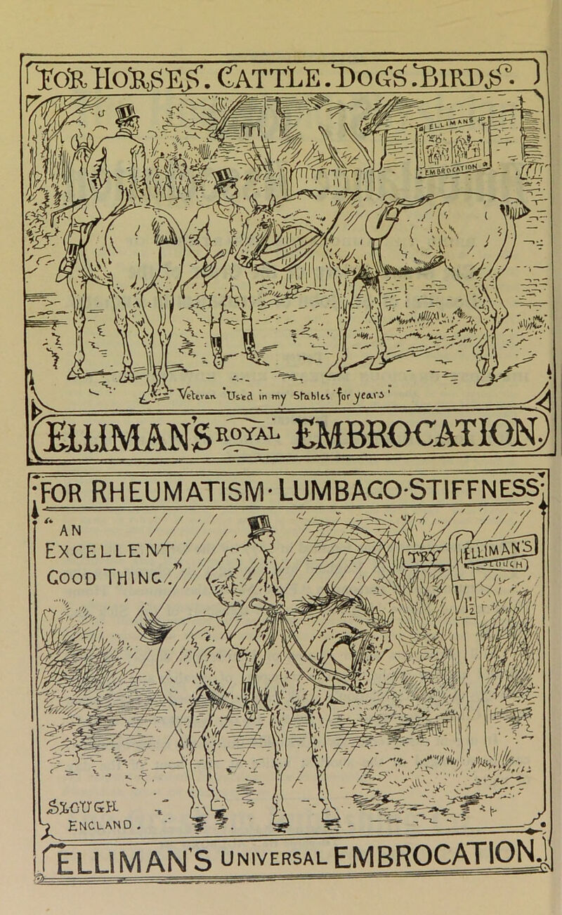 t You HoUBIE^. €aTTL~E .Dotfg .^IRDjf- j -~3^- ^ ( tran. Used in tny StabltS ^oryCiXi'i' embrocatiqk) 'for rheumatism- LUMBACOSTIFFNESS; SlotrSE 'o England TeLLI MAN'S UNIVERSAL FMBROCATION.ll