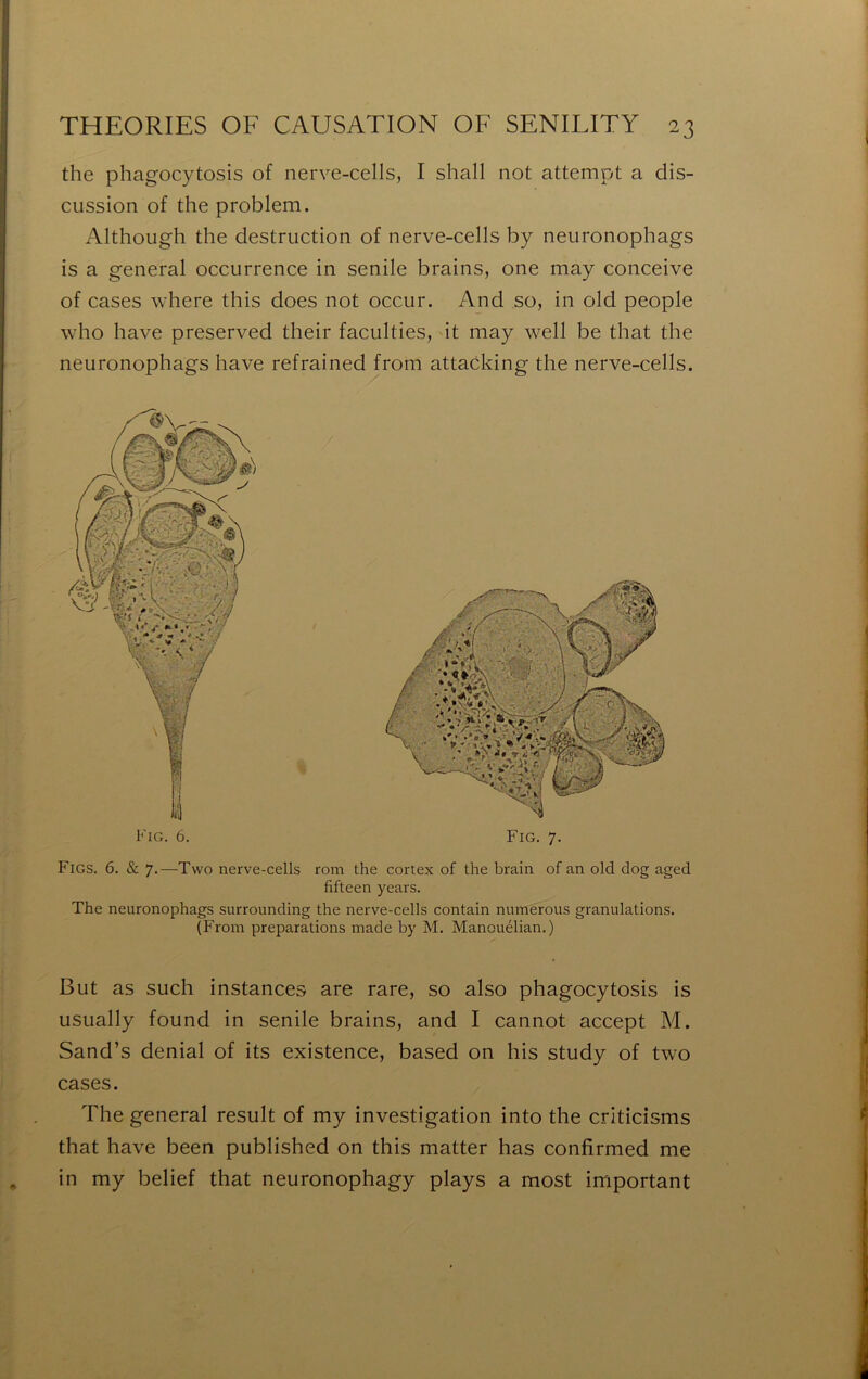 the phagocytosis of nerve-cells, I shall not attempt a dis- cussion of the problem. Although the destruction of nerve-cells by neuronophags is a general occurrence in senile brains, one may conceive of cases where this does not occur. And so, in old people who hâve preserved their faculties, it may well be that the neuronophags hâve refrained from attacking the nerve-cells. Fig. 6. Fig. 7. Figs. 6. & 7.—Two nerve-cells rom the cortex of the brain of an old dog aged fifteen years. The neuronophags surrounding the nerve-cells contain numerous granulations. (From préparations made by M. Manouélian.) But as such instances are rare, so also phagocytosis is usually found in senile brains, and I cannot accept M. Sand’s déniai of its existence, based on bis study of two cases. The general resuit of my investigation into the criticîsms that hâve been published on this matter has confirmed me in my belief that neuronophagy plays a most important