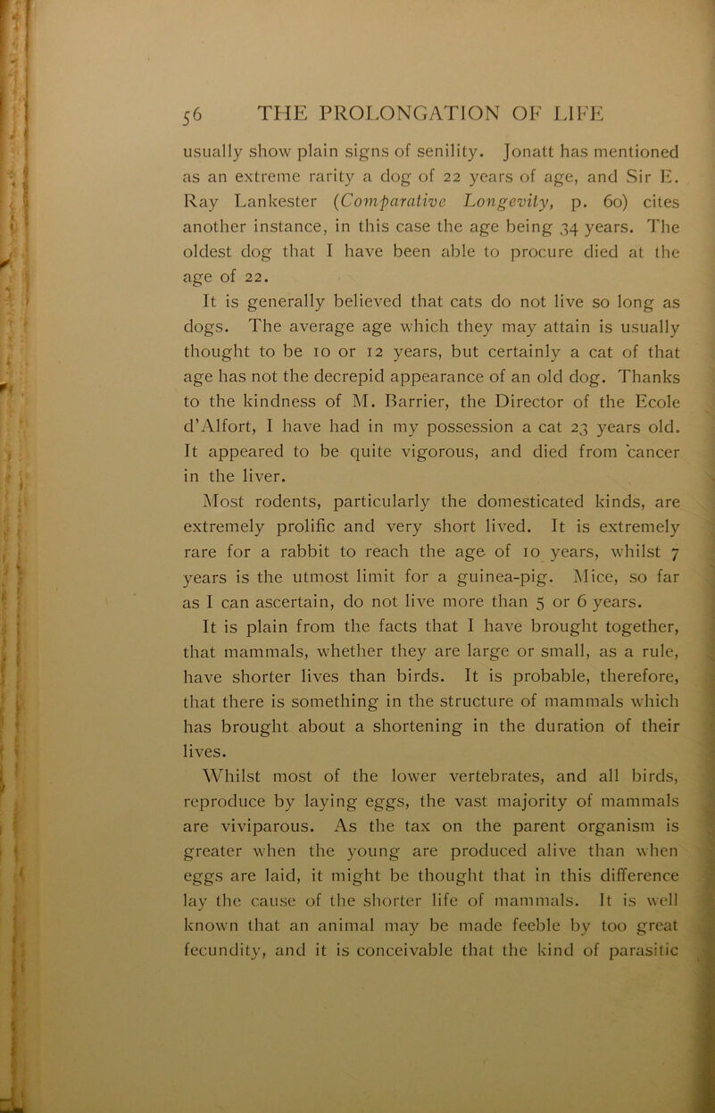 iiSLially show plain signs of senility. Jonatt has menlioned as an extreme rarity a clog of 22 years of âge, and Sir F. Ray Lankester (Comparative Longevily, p. 60) cites another instance, in this case the âge being 34 years. The oldest dog that I hâve been able to procure died at the âge of 22. It is generally believed that cats do not live so long as dogs. The average âge which they may attain is usually thought to be 10 or 12 years, but certainly a cat of that âge has not the decrepid appearance of an old dog. Thanks to the kindness of M. Barrier, the Director of the Ecole d’Alfort, I hâve had in my possession a cat 23 years old. It appeared to be quite vigorous, and died from cancer in the liver. Most rodents, particularly the domesticated kinds, are extremely prolific and very short lived. It is extremely rare for a rabbit to reach the âge of 10 years, whilst 7 years is the utmost limit for a guinea-pig. Mice, so far as I can ascertain, do not live more than 5 or 6 years. It is plain from the facts that I hâve brought together, that mammals, whether they are large or small, as a rule, hâve shorter lives than birds. It is probable, therefore, that there is something in the structure of mammals which has brought about a shortening in the duration of their lives. Whilst most of the lower vertebrates, and ail birds, reproduce by laying eggs, the vast majority of mammals are viviparous. As the tax on the parent organism is greater when the young are produced alive than when eggs are laid, it might be thought that in this différence lay the cause of the shorter life of mammals. It is well known that an animal may be made feeble by too great fecundity, and it is conceivable that the kind of parasitic