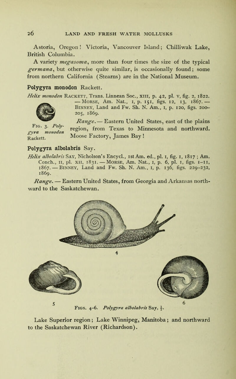 Astoria, Oregon! Victoria, Vancouver Island; Chilliwak Lake, British Columbia. A variety megasoma, more than four times the size of the typical germana, but otherwise quite similar, is occasionally found; some from northern California (Stearns) are in the National Museum. Polygyra monodon Rackett. Helix monodon Rackett, Trans. Linnean Soc., xm, p. 42, pi. v, fig. 2, 1822. — Morse, Am. Nat., 1, p. 151, figs. 12, 13, 1867.— Binney, Land and Fw. Sh. N. Am., 1, p. 120, figs. 200- 205, 1869. Range. — Eastern United States, east of the plains , region, from Texas to Minnesota and northward. gyra monodon 0 Rackett. Moose Factory, James Bay ! Polygyra albolabris Say. Helix albolabris Say, Nicholson’s Encycl., 1st Am. ed., pi. 1, fig. 1, 1817 ; Am. Conch., 11, pi. xii, 1831. — Morse, Am. Nat., 1, p. 6, pi. 1, figs. 1-11, 1867. — Binney, Land and Fw. Sh. N. Am., 1, p. 136, figs. 229-232, 1869. Range. — Eastern United States, from Georgia and Arkansas north- ward to the Saskatchewan. Fig. 3. Poly- 5 6 Figs. 4-6. Polygyra albolabris Say, -J-. Lake Superior region ; Lake Winnipeg, Manitoba ; and northward to the Saskatchewan River (Richardson).