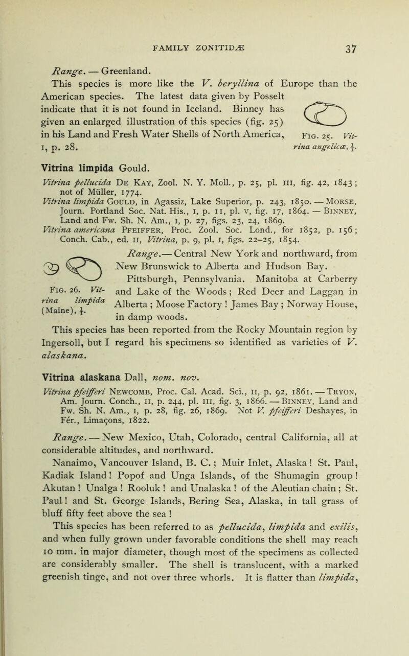Range. — Greenland. This species is more like the V. beryllina of Europe than the American species. The latest data given by Posselt indicate that it is not found in Iceland. Binney has given an enlarged illustration of this species (fig. 25) in his Land and Fresh Water Shells of North America, Fig. 25. Vit- I, p. 28. rina angelicas, Vitrina limpida Gould. Vitrina pellucida De Kay, Zool. N. Y. Moll., p. 25, pi. in, fig. 42, 1843 ; not of Muller, 1774. Vitrina limpida Gould, in Agassiz, Lake Superior, p. 243, 1850. — Morse, Journ. Portland Soc. Nat. His., 1, p. n, pi. v, fig. 17, 1864. — Binney, Land and Fw. Sh. N. Am., 1, p. 27, figs. 23, 24, 1869. Vitrina americana Pfeiffer, Proc. Zool. Soc. Lond., for 1852, p. 156; Conch. Cab., ed. n, Vitrina, p. 9, pi. 1, figs. 22-25, 1854. Range.— Central New York and northward, from New Brunswick to Alberta and Hudson Bay. Pittsburgh, Pennsylvania. Manitoba at Carberry and Lake of the Woods; Red Deer and Laggan in Alberta ; Moose Factory ! James Bay; Norway House, in damp woods. This species has been reported from the Rocky Mountain region by Ingersoll, but I regard his specimens so identified as varieties of V. alaskana. Fig. 26. Vit- rina limpida (Maine), J. Vitrina alaskana Dali, nom. nov. Vitrinapfeifferi Newcomb, Proc. Cal. Acad. Sci., n, p. 92, 1861.—Tryon, Am. Journ. Conch., n, p. 244, pi. in, fig. 3, 1866. — Binney, Land and Fw. Sh. N. Am., 1, p. 28, fig. 26, 1869. Not V. pfeifferi Deshayes, in Fer., Lima^ons, 1822. Range. — New Mexico, Utah, Colorado, central California, all at considerable altitudes, and northward. Nanaimo, Vancouver Island, B. C.; Muir Inlet, Alaska ! St. Paul, Kadiak Island! Popof and Unga Islands, of the Shumagin group! Akutan ! Unalga ! Rooluk ! and Unalaska ! of the Aleutian chain; St. Paul! and St. George Islands, Bering Sea, Alaska, in tall grass of bluff fifty feet above the sea ! This species has been referred to as pellucida, limpida and exilis, and when fully grown under favorable conditions the shell may reach 10 mm. in major diameter, though most of the specimens as collected are considerably smaller. The shell is translucent, with a marked greenish tinge, and not over three whorls. It is flatter than limpida,