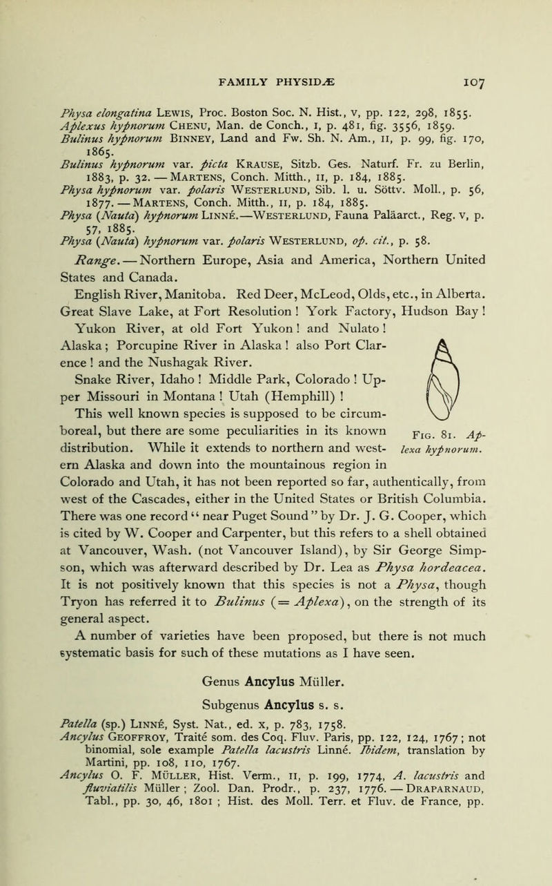 Physa elongatina Lewis, Proc. Boston Soc. N. Hist., v, pp. 122, 298, 1855. Aplexus hypnorum Chenu, Man. de Conch., 1, p. 481, fig. 3556, 1859. Bulinus hypnorum Binney, Land and Fw. Sh. N. Am., 11, p. 99, fig. 170, 1865. Bulinus hypnorum var. picta Krause, Sitzb. Ges. Naturf. Fr. zu Berlin, 1883, p. 32.—Martens, Conch. Mitth., 11, p. 184, 1885. Physa hypnorum var. polaris Westerlund, Sib. 1. u. Sottv. Moll., p. 56, 1877.—Martens, Conch. Mitth., 11, p. 184, 1885. Physa (Nauta) hypnorum Linne.—Westerlund, Fauna Palaarct., Reg. v, p. 57. 1885. Physa (Nauta) hypnorum var. polaris Westerlund, op. cit., p. 58. Range. — Northern Europe, Asia and America, Northern United States and Canada. English River, Manitoba. Red Deer, McLeod, Olds, etc., in Alberta. Great Slave Lake, at Fort Resolution! York Factory, Hudson Bay! Yukon River, at old Fort Yukon! and Nulato! Alaska; Porcupine River in Alaska ! also Port Clar- ence ! and the Nushagak River. Snake River, Idaho ! Middle Park, Colorado ! Up- per Missouri in Montana ! Utah (Hemphill) ! This well known species is supposed to be circum- boreal, but there are some peculiarities in its known distribution. While it extends to northern and west- ern Alaska and down into the mountainous region in Colorado and Utah, it has not been reported so far, authentically, from west of the Cascades, either in the United States or British Columbia. There was one record “ near Puget Sound ” by Dr. J. G. Cooper, which is cited by W. Cooper and Carpenter, but this refers to a shell obtained at Vancouver, Wash, (not Vancouver Island), by Sir George Simp- son, which was afterward described by Dr. Lea as Physa hordeacea. It is not positively known that this species is not a Physa, though Tryon has referred it to Bulinus (= Aplexa), on the strength of its general aspect. A number of varieties have been proposed, but there is not much systematic basis for such of these mutations as I have seen. Fig. 81. Ap- lexa hypnorum. Genus Ancylus Muller. Subgenus Ancylus s. s. Patella (sp.) Linn£, Syst. Nat., ed. x, p. 783, 1758. Ancylus Geoffroy, Traite som. des Coq. Fluv. Paris, pp. 122, 124, 1767; not binomial, sole example Patella lacustris Linne. Ibidem, translation by Martini, pp. 108, no, 1767. Ancylus O. F. Muller, Hist. Verm., n, p. 199, 1774, A. lacustris and fluviatilis Muller; Zool. Dan. Prodr., p. 237, 1776.—Draparnaud, Tabl., pp. 30, 46, 1801 ; Hist, des Moll. Terr, et Fluv. de France, pp.