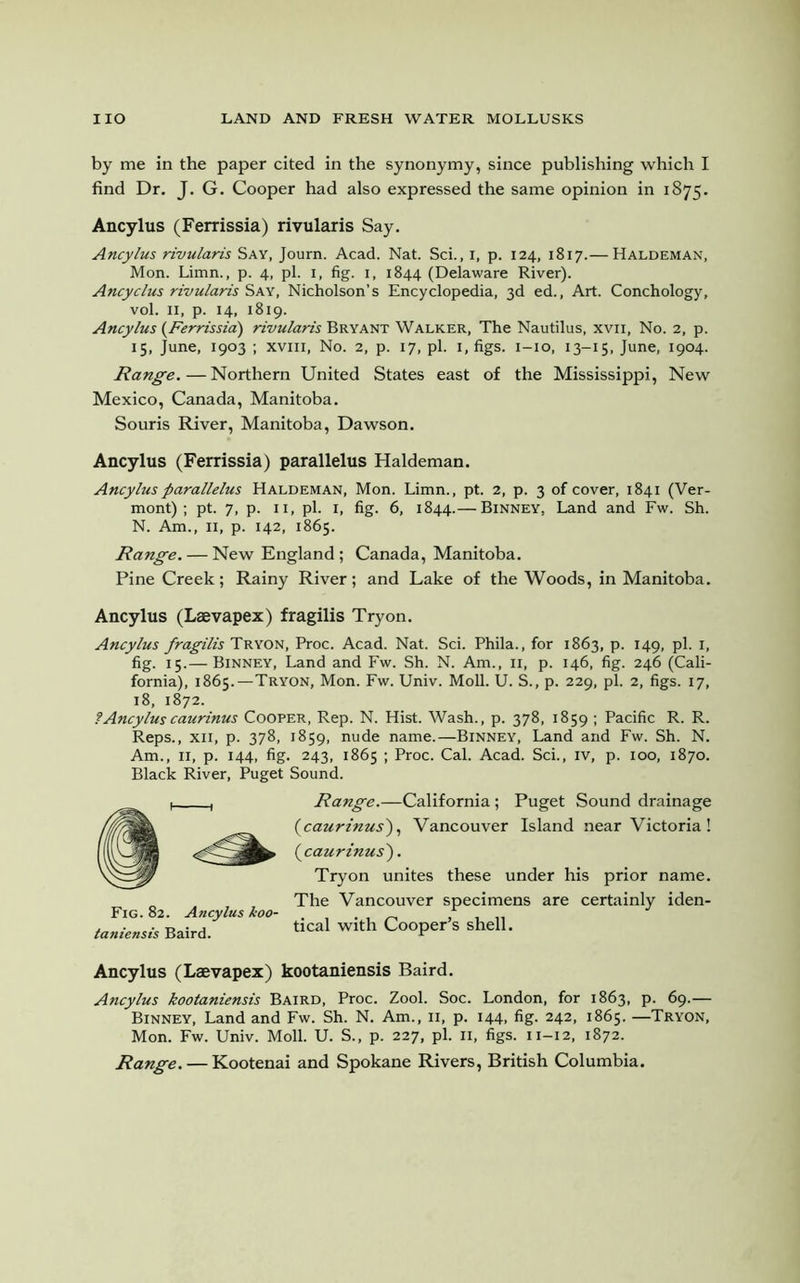 by me in the paper cited in the synonymy, since publishing which I find Dr. J. G. Cooper had also expressed the same opinion in 1875. Ancylus (Ferrissia) rivularis Say. Ancylus rivularis Say, Journ. Acad. Nat. Sci., 1, p. 124, 1817.— Haldeman, Mon. Limn., p. 4, pi. 1, fig. i, 1844 (Delaware River). Ancyclus rivularis Say, Nicholson’s Encyclopedia, 3d ed., Art. Conchology, vol. 11, p. 14, 1819. Ancylus (Ferrissia) rivularis Bryant Walker, The Nautilus, xvii, No. 2, p. 15, June, 1903 ; xvm, No. 2, p. 17, pi. 1, figs. 1-10, 13-15, June, 1904. Range. — Northern United States east of the Mississippi, New Mexico, Canada, Manitoba. Souris River, Manitoba, Dawson. Ancylus (Ferrissia) parallelus Haldeman. Ancylus farallelus Haldeman, Mon. Limn., pt. 2, p. 3 of cover, 1841 (Ver- mont) ; pt. 7, p. 11, pi. I, fig. 6, 1844.— Binney, Land and Fw. Sh. N. Am., 11, p. 142, 1865. Range. — New England ; Canada, Manitoba. Pine Creek; Rainy River; and Lake of the Woods, in Manitoba. Ancylus (Laevapex) fragilis Tryon. Ancylus fragilis Tryon, Proc. Acad. Nat. Sci. Phila., for 1863, p. 149, pi. 1, fig. 15.— Binney, Land and Fw. Sh. N. Am., 11, p. 146, fig. 246 (Cali- fornia), 1865.—Tryon, Mon. Fw. Univ. Moll. U. S., p. 229, pi. 2, figs. 17, 18, 1872. ?Ancyluscaurinus Cooper, Rep. N. Hist. Wash., p. 378, 1859 ; Pacific R. R. Reps., xii, p. 378, 1859, nude name.—Binney, Land and Fw. Sh. N. Am., 11, p. 144, fig. 243, 1865 ; Proc. Cal. Acad. Sci., iv, p. 100, 1870. Black River, Puget Sound. Fig. 82. Ancylus koo- taniensis Baird. Range.—California ; Puget Sound drainage (:caurinus), Vancouver Island near Victoria ! {caurinus'). Tryon unites these under his prior name. The Vancouver specimens are certainly iden- tical with Cooper’s shell. Ancylus (Laevapex) kootaniensis Baird. Ancylus kootaniensis Baird, Proc. Zool. Soc. London, for 1863, p. 69.— Binney, Land and Fw. Sh. N. Am., 11, p. 144, fig. 242, 1865. —Tryon, Mon. Fw. Univ. Moll. U. S., p. 227, pi. 11, figs. 11-12, 1872. Range. — Kootenai and Spokane Rivers, British Columbia.