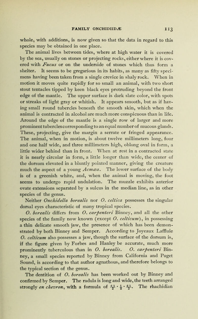 FAMILY ONCHIDIIILE JI3 whole, with additions, is now given so that the data in regard to this species may be obtained in one place. The animal lives between tides, where at high water it is covered by the sea, usually on stones or projecting rocks, either where it is cov- ered with Fucus or on the underside of stones which thus form a shelter. It seems to be gregarious in its habits, as many as fifty speci- mens having been taken from a single crevice in shaly rock. When in motion it moves quite rapidly for so small an animal, with two short stout tentacles tipped by keen black eyes protruding beyond the front edge of the mantle. The upper surface is dark slate color, with spots or streaks of light gray or whitish. It appears smooth, but as if hav- ing small round tubercles beneath the smooth skin, which when the animal is contracted in alcohol are much more conspicuous than in life. Around the edge of the mantle is a single row of larger and more prominent tubercles corresponding to an equal number of mucous glands. These, projecting, give the margin a serrate or fringed appearance. The animal, when in motion, is about twelve millimeters long, four and one half wide, and three millimeters high, oblong oval in form, a little wider behind than in front. When at rest in a contracted state it is nearly circular in form, a little longer than wide, the center of the dorsum elevated in a bluntly pointed manner, giving the creature much the aspect of a young Acmcea. The lower surface of the body is of a greenish white, and, when the animal is moving, the foot seems to undergo rapid undulation. The muzzle exhibits anterior ovate extensions separated by a sulcus in the median line, as in other species of the genus. Neither Onchidella borealis nor O. celtica possesses the singular dorsal eyes characteristic of many tropical species. O. borealis differs from O. carp enter i Binney, and all the other species of the family now known (except O. celticum), in possessing a thin delicate smooth jaw, the presence of which has been demon- strated by both Binney and Semper. According to Joyeaux Laffluie O. celticum also possesses a jaw, though the surface of the dorsum is, if the figure given by Forbes and Hanley be accurate, much more prominently tuberculous than in O. borealis. O. carpenteri Bin- ney, a small species reported by Binney from California and Puget Sound, is according to that author agnathous, and therefore belongs to the typical section of the genus. The dentition of O. borealis has been worked out by Binney and confirmed by Semper. The radula is long and wide, the teeth arranged strongly cn chevron, with a formula of ^ • 4^-. The rhachidian