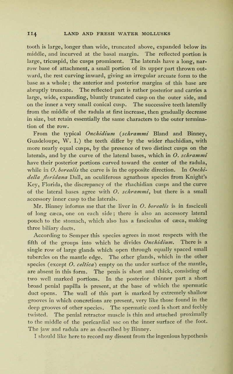 tooth is large, longer than wide, truncated above, expanded below its middle, and incurved at the basal margin. The reflected portion is large, tricuspid, the cusps prominent. The laterals have a long, nar- row base of attachment, a small portion of its upper part thrown out- ward, the rest curving inward, giving an irregular arcuate form to the base as a whole; the anterior and posterior margins of this base are abruptly truncate. The reflected part is rather posterior and carries a large, wide, expanding, bluntly truncated cusp on the outer side, and on the inner a very small conical cusp. The successive teeth laterally from the middle of the radula at first increase, then gradually decrease in size, but retain essentially the same characters to the outer termina- tion of the row. From the typical Onchidium (schrammi Bland and Binney, Guadeloupe, W. I.) the teeth differ by the wider rhachidian, with more nearly equal cusps, by the presence of two distinct cusps on the laterals, and by the curve of the lateral bases, which in O. schrammi have their posterior portions curved toward the center of the radula, while in O. borealis the curve is in the opposite direction. In Onchi- della Jloridana Dali, an oculiferous agnathous species from Knight’s Key, Florida, the discrepancy of the rhachidian cusps and the curve of the lateral bases agree with O. schrammi, but there is a small accessory inner cusp to the laterals. Mr. Binney informs me that the liver in O. borealis is in fasciculi of long caeca, one on each side; there is also an accessory lateral pouch to the stomach, which also has a fasciculus of caeca, making three biliary ducts. According to Semper this species agrees in most respects with the fifth of the groups into which he divides Onchidium. There is a single row of large glands which open through equally spaced small tubercles on the mantle edge. The other glands, which in the other species (except O. celtica) empty on the under surface of the mantle, are absent in this form. The penis is short and thick, consisting of two well marked portions. In the posterior thinner part a short broad penial papilla is present, at the base of which the spermatic duct opens. The wall of this part is marked by extremely shallow grooves in which concretions are present, very like those found in the deep grooves of other species. The spermatic cord is short and feebly twisted. The penial retractor muscle is thin and attached proximally to the middle of the pericardial sac on the inner surface of the foot. The jaw and radula are as described by Binney. I should like here to record my dissent from the ingenious hypothesis