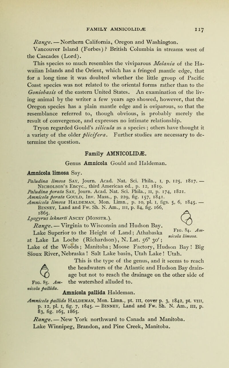 Range. — Northern California, Oregon and Washington. Vancouver Island (Forbes) ? British Columbia in streams west of the Cascades (Lord). This species so much resembles the viviparous Melania of the Ha- waiian Islands and the Orient, which has a fringed jnantle edge, that for a long time it was doubted whether the little group of Pacific Coast species was not related to the oriental forms rather than to the Goniobasis of the eastern United States. An examination of the liv- ing animal by the writer a few years ago showed, however, that the Oregon species has a plain mantle edge and is oviparous, so that the resemblance referred to, though obvious, is probably merely the result of convergence, and expresses no intimate relationship. Tryon regarded Gould’s silicula as a species ; others have thought it a variety of the older plicifera. Further studies are necessary to de- termine the question. Family AMNICOLID^. Genus Amnicola Gould and Haldeman. Amnicola limosa Say. Paludina limosa Say, Journ. Acad. Nat. Sci. Phila., I, p. 125, 1817.— Nicholson’s Encyc., third American ed., p. 12, 1819. Paludinaporata Say, Journ. Acad. Nat. Sci. Phila., n, p. 174, 1821. Amnicola porata Gould, Inv. Mass., p. 229, fig. 157, 1841. Amnicola limosa Haldeman, Mon. Limn., p. 10, pi. 1, figs. 5, 6, 1845. — Binney, Land and Fw. Sh. N. Am., ill, p. 84, fig. 166, 1865. Lyogyrus lehnerti Ancey (Monstr.). Range. — Virginia to Wisconsin and Hudson Bay. Lake Superior to the Height of Land; Athabaska .Fl,G',S4‘ 'Am~ t t _• 1 1 . „ nicola limosa. at Lake La Loche (Richardson), N. Lat. 56 30'; Lake of the Woods; Manitoba; Moose Factory, Hudson Bay! Big Sioux River, Nebraska ! Salt Lake basin, Utah Lake ! Utah. This is the type of the genus, and it seems to reach the headwaters of the Atlantic and Hudson Bay drain- age but not to reach the drainage on the other side of Fig. 85. Am- the watershed alluded to. nicola pallida. Amnicola pallida Haldeman. Amnicola pallida Haldeman, Mon. Limn., pt. in, cover p. 3, 1842, pt. vm, p. 12, pi. 1, fig. 7, 1845. — Binney, Land and Fw. Sh. N. Am., hi, p. 83, fig. 165, 1865. Range. — New York northward to Canada and Manitoba. Lake Winnipeg, Brandon, and Pine Creek, Manitoba.