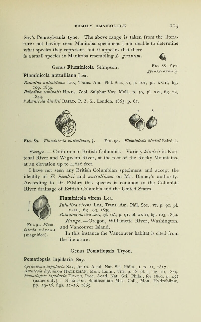 Say’s Pennsylvania type. The above range is taken from the litera- ture ; not having seen Manitoba specimens I am unable to determine what species they represent, but it appears that there is a small species in Manitoba resembling L. granum. Genus Fluminicola Stimpson. FlG- 88- Ly°~ gyrus granum.,f. Fluminicola nuttalliana Lea. Paludina nuttalliana Lea, Trans. Am. Phil. Soc., vi, p. 101, pi. xxm, fig. 109, 1839. Paludina seminalis Hinds, Zool. Sulphur Voy. Moll., p. 59, pi. xvi, fig. 22, 1844. ? Amnicola hindsii Baird, P. Z. S., London, 1863, p. 67. Fig. 89. Fluminicola nuttalliana, f. Fig. 90. Fluminicola hindsii Bair d, Range. — California to British Columbia. Variety hindsii in Koo- tenai River and Wigwam River, at the foot of the Rocky Mountains, at an elevation up to 4,626 feet. I have not seen any British Columbian specimens and accept the identity of F. hindsii and nuttalliana on Mr. Binney’s authority. According to Dr. Pilsbry this species is common to the Columbia River drainage of British Columbia and the United States. Fluminicola virens Lea. Paludina virens Lea, Trans. Am. Phil. Soc., Vi, p. 91, pi. xxm, fig. 93, 1839. Paludina nuclea Lea, op. cit., p. 91, pi. xxm, fig. 103, 1839. Range. —Oregon, Willamette River, Washington, and Vancouver Island. In this instance the Vancouver habitat is cited from the literature. Genus Pomatiopsis Try on. Pomatiopsis lapidaria Say. Cyclostoma lapidaria Say, Journ. Acad. Nat. Sci. Phila., 1, p. 13, 1817. Amnicola lapidaria Haldeman, Mon. Limn., vm, p. 18, pi. 1, fig. 10, 1845. Pomatiopsis lapidaria Tryon, Proc. Acad. Nat. Sci. Phila., for 1862, p. 452 (name only).—Stimpson, Smithsonian Misc. Coll., Mon. Hydrobiinae, pp. 29-36, figs. 22-26, 1865. Fig. 91. Flum- inicola virens (magnified).