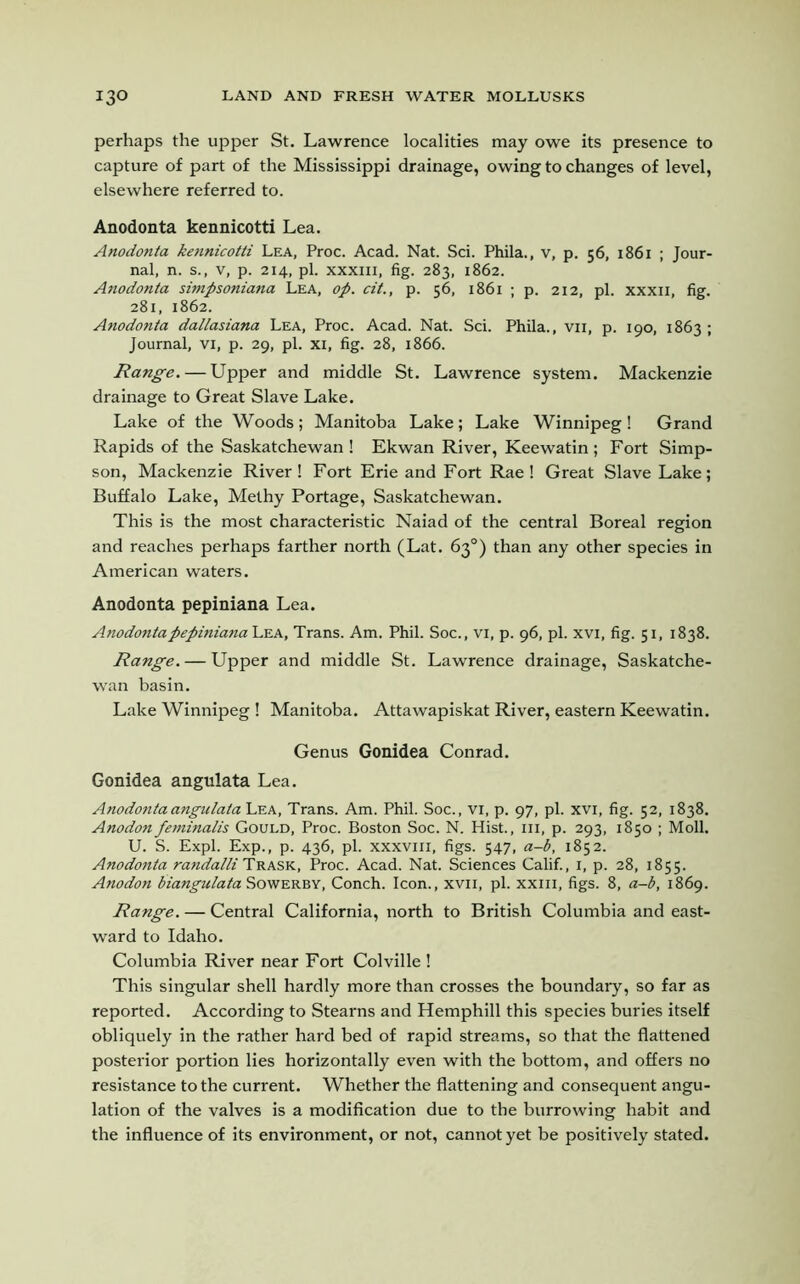 perhaps the upper St. Lawrence localities may owe its presence to capture of part of the Mississippi drainage, owing to changes of level, elsewhere referred to. Anodonta kennicotti Lea. Anodonta kennicotti Lea, Proc. Acad. Nat. Sci. Phila., v, p. 56, 1861 ; Jour- nal, n. s., v, p. 214, pi. xxxiii, fig. 283, 1862. Anodonta simpsoniana Lea, op. cit., p. 56, 1861 ; p. 212, pi. xxxii, fig. 281, 1862. Anodonta dallasiana Lea, Proc. Acad. Nat. Sci. Phila., vii, p. 190, 1863 ; Journal, vi, p. 29, pi. xi, fig. 28, 1866. Range. — Upper and middle St. Lawrence system. Mackenzie drainage to Great Slave Lake. Lake of the Woods; Manitoba Lake; Lake Winnipeg ! Grand Rapids of the Saskatchewan ! Ekwan River, Keewatin ; Fort Simp- son, Mackenzie River! Fort Erie and Fort Rae! Great Slave Lake; Buffalo Lake, Methy Portage, Saskatchewan. This is the most characteristic Naiad of the central Boreal region and reaches perhaps farther north (Lat. 63°) than any other species in American waters. Anodonta pepiniana Lea. Anodontapepiniana Lea, Trans. Am. Phil. Soc., vi, p. 96, pi. xvi, fig. 51, 1838. Range. — Upper and middle St. Lawrence drainage, Saskatche- wan basin. Lake Winnipeg ! Manitoba. Attawapiskat River, eastern Keewatin. Genus Gonidea Conrad. Gonidea angulata Lea. Anodontaangulata Lea, Trans. Am. Phil. Soc., vi, p. 97, pi. xvi, fig. 52, 1838. Anodon feminalis Gould, Proc. Boston Soc. N. Hist., hi, p. 293, 1850 ; Moll. U. S. Expl. Exp., p. 436, pi. xxxviii, figs. 547, a-b, 1852. Anodonta randalli Trask, Proc. Acad. Nat. Sciences Calif., 1, p. 28, 1855. Anodon biangulata Sowerby, Conch. Icon., xvii, pi. xxm, figs. 8, a-b, 1869. Range. — Central California, north to British Columbia and east- ward to Idaho. Columbia River near Fort Colville ! This singular shell hardly more than crosses the boundary, so far as reported. According to Stearns and Hemphill this species buries itself obliquely in the rather hard bed of rapid streams, so that the flattened posterior portion lies horizontally even with the bottom, and offers no resistance to the current. Whether the flattening and consequent angu- lation of the valves is a modification due to the burrowing habit and the influence of its environment, or not, cannot yet be positively stated.