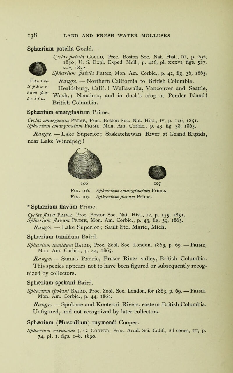 Sphaerium patella Gould. Cyclaspatella Gould, Proc. Boston Soc. Nat. Hist., Ill, p. 292, 1850; U. S. Expl. Exped. Moll., p. 426, pi. xxxvi, figs. 527, a-b, 1852. Sphcerium patella Prime, Mon. Am. Corbie., p. 42, fig. 36, 1865. Fig. 105. Range. — Northern California to British Columbia. SphcB r- Healdsburg, Calif. ! Wallawalla, Vancouver and Seattle, turn pa . Nanaimo an(j jn duck’s crop at Pender Island! t e 11 a. ’ * British Columbia. Sphaerium emarginatum Prime. Cyclas emarginata Prime, Proc. Boston Soc. Nat. Hist., iv, p. 156, 1851. Sphcerium emarginatum Prime, Mon. Am. Corbie., p. 43, fig. 38, 1865. Range. — Lake Superior; Saskatchewan River at Grand Rapids, near Lake Winnipeg! w 106 107 Fig. 106. Sphcerium emarginatum Prime. Fig. 107. Sphcerium flavum Prime. * Sphaerium flavum Prime. Cyclasflava Prime, Proc. Boston Soc. Nat. Hist., iv, p. 155, 1851. Sphcerium flavum Prime, Mon. Am. Corbie., p. 43, fig. 39, 1865. Range. — Lake Superior; Sault Ste. Marie, Mich. Sphaerium tumidum Baird. Sphcerium tumidum Baird, Proc. Zool. Soc. London, 1863, p. 69. —Prime, Mon. Am. Corbie., p. 44, 1865. Range. — Sumas Prairie, Fraser River valley, British Columbia. This species appears not to have been figured or subsequently recog- nized by collectors. Sphaerium spokani Baird. Sphcerium spokani Baird, Proc. Zool. Soc. London, for 1863, p. 69. — Prime, Mon. Am. Corbie., p. 44, 1865. Range. — Spokane and Kootenai Rivers, eastern British Columbia. Unfigured, and not recognized by later collectors. Sphaerium (Musculium) raymondi Cooper. Sphcerium raymondi J. G. Cooper, Proc. Acad. Sci. Calif., 2d series, III, p. 74, pi. 1, figs. 1-8, 1890.