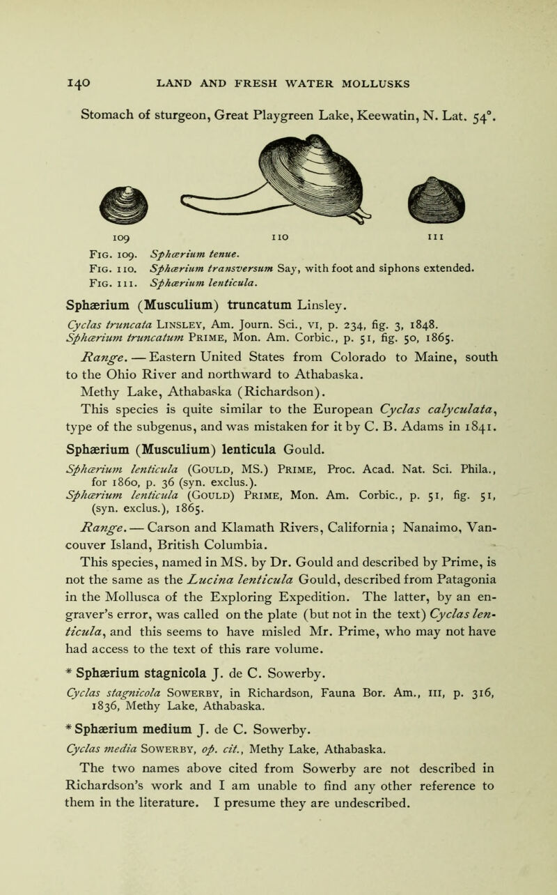 Stomach of sturgeon, Great Playgreen Lake, Keewatin, N. Lat. 540. 109 HO III Fig. 109. Sphcerium tenue. Fig. iio. Sphcerium transversum Say, with foot and siphons extended. Fig. hi. Sphcerium lenticula. Sphaerium (Musculium) truncatum Linsley. Cyclas truncata Linsley, Am. Journ. Sci., vi, p. 234, fig. 3, 1848. Sphcerium truncatum Prime, Mon. Am. Corbie., p. 51, fig. 50, 1865. Range. — Eastern United States from Colorado to Maine, south to the Ohio River and northward to Athabaska. Methy Lake, Athabaska (Richardson). This species is quite similar to the European Cyclas calyculata, type of the subgenus, and was mistaken for it by C. B. Adams in 1841. Sphaerium (Musculium) lenticula Gould. Sphcerium lenticula (Gould, MS.) Prime, Proc. Acad. Nat. Sci. Phila., for i860, p. 36 (syn. exclus.). Sphcerium lenticula (Gould) Prime, Mon. Am. Corbie., p. 51, fig. 51, (syn. exclus.), 1865. Range. — Carson and Klamath Rivers, California; Nanaimo, Van- couver Island, British Columbia. This species, named in MS. by Dr. Gould and described by Prime, is not the same as the Lucina lenticula Gould, described from Patagonia in the Mollusca of the Exploring Expedition. The latter, by an en- graver’s error, was called on the plate (but not in the text) Cyclas len- ticula, and this seems to have misled Mr. Prime, who may not have had access to the text of this rare volume. * Sphaerium stagnicola J. de C. Sowerby. Cyclas stagnicola Sowerby, in Richardson, Fauna Bor. Am., Ill, p. 316, 1836, Methy Lake, Athabaska. * Sphaerium medium J. de C. Sowerby. Cyclas media Sowerby, op. cit., Methy Lake, Athabaska. The two names above cited from Sowerby are not described in Richardson’s work and I am unable to find any other reference to them in the literature. I presume they are undescribed.