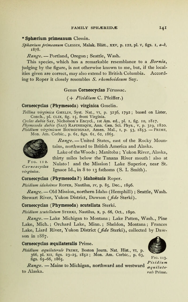 * Sphaerium primeanum Clessin. Sphtzriumprimeanum Clessin, Malak. Blatt., xxv, p. 122, pi. V, figs. I, a-b, 1878. Range. — Portland, Oregon ; Seattle, Wash. This species, which has a remarkable resemblance to a Bornia, judging by the figure, is not otherwise known to me, but, if the local- ities given are correct, may also extend to British Columbia. Accord- ing to Roper it closely resembles S. rhomboideum Say. Genus Comeocyclas Ferussac. (+ Pisidium C. Pfeiffer.) Comeocyclas (Phymesoda) virginica Gmelin. Tellina virginica Gmelin, Syst. Nat., vi, p. 3236, 1792 ; based on Lister, Conch., pi. clix, fig. 15, from Virginia. Cyclas dzibia Say, Nicholson’s Encycl., 1st Am. ed., pi. 1, fig. 10, 1817. Phymesoda dubia (Say) Rafinesque, Ann. Gen. Sci. Phys., v, p. 319, 1820. Pisidium virginicum Bourguignat, Amen. Mai., 1, p. 53, 1853. — Prime, Mon. Am. Corbie., p. 61, figs. 61, 62, 1865. Range. — United States, east of the Rocky Moun- tains, northward to British America and Alaska. Lake of the Woods ; Manitoba; Yukon River, Alaska, thirty miles below the Tanana River mouth! also at FIGII2 _ ‘ Nulato ! and the Mission! Lake Superior, near St. Comeocyclas . r virginica. Ignace Id., in 8 to 13 fathoms (S. I. Smith). Comeocyclas (Phymesoda?) idahoensis Roper. Pisidium idahoense Roper, Nautilus, iv, p. 85, Dec., 1896. Range. — Old Mission, northern Idaho (Hemphill) ; Seattle, Wash. Stewart River, Yukon District, Dawson (fide Sterki). Comeocyclas (Phymesoda) scutellata Sterki. Pisidium scutellatum Sterki, Nautilus, x, p. 66, Oct., 1890. Range. — Lake Michigan to Montana; Lake Patten, Wash., Pine Lake, Mich.; Orchard Lake, Minn.; Sheldon, Montana; Frances Lake, Liard River, Yukon District (fide Sterki), collected by Daw- son in 1887. Comeocyclas aequilateralis Prime. Pisidium aquilaterale Prime, Boston Journ. Nat. Hist., vi, p. 366, pi. xn, figs. 23-25, 1852; Mon. Am. Corbie., p. 63, figs. 65-66, 1865. FlG- ”3- Pi sidium Range. —Maine to Michigan, northward and westward a!qUiiate. to Alaska. rale Prime.