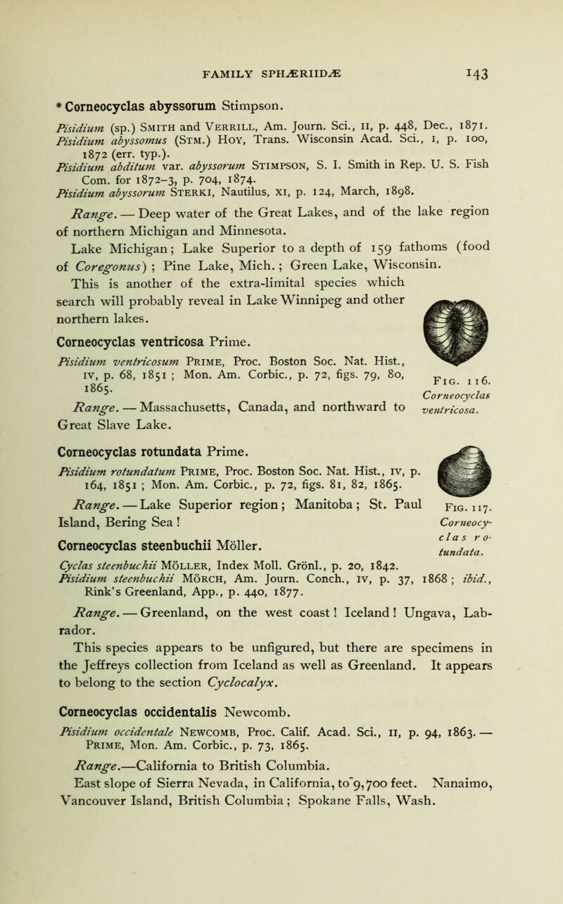 * Corneocyclas abyssorum Stimpson. Pisidium (sp.) Smith and Verrill, Am. Journ. Sci., n, p. 448, Dec., 1871. Pisidium abyssomus (Stm.) Hoy, Trans. Wisconsin Acad. Sci., 1, p. 100, 1872 (err. typ.). Pisidium abditum var. abyssorum Stimpson, S. I. Smith in Rep. U. S. Fish Com. for 1872-3, p. 704, 1874. Pisidium abyssorum Sterki, Nautilus, xi, p. 124, March, 1898. Range. — Deep water of the Great Lakes, and of the lake region of northern Michigan and Minnesota. Lake Michigan; Lake Superior to a depth of 159 fathoms (food of Coregonus) ; Pine Lake, Mich.; Green Lake, Wisconsin. This is another of the extra-limital species which search will probably reveal in Lake Winnipeg and other northern lakes. Corneocyclas ventricosa Prime. Pisidium ventricosum Prime, Proc. Boston Soc. Nat. Hist., Corneocyclas Range. — Massachusetts, Canada, and northward to ventricosa. Great Slave Lake. Corneocyclas rotundata Prime. Pisidium rotundatum Prime, Proc. Boston Soc. Nat. Hist., iv, p. 164, 1851 ; Mon. Am. Corbie., p. 72, figs. 81, 82, 1865. Range. — Lake Superior region; Manitoba; St. Paul Island, Bering Sea! Corneocyclas steenbuchii Moller. Cyclas steenbuchii Moller, Index Moll. Gronl., p. 20, 1842. Pisidium steenbuchii Morch, Am. Journ. Conch., iv, p. 37, 1868; ibid., Rink’s Greenland, App., p. 440, 1877. Range. — Greenland, on the west coast! Iceland! Ungava, Lab- rador. This species appears to be unfigured, but there are specimens in the Jeffreys collection from Iceland as well as Greenland. It appears to belong to the section Cyclocalyx. Corneocyclas occidentals Newcomb. Pisidium occidentale Newcomb, Proc. Calif. Acad. Sci., n, p. 94, 1863.— Prime, Mon. Am. Corbie., p. 73, 1865. Range.—California to British Columbia. East slope of Sierra Nevada, in California, to_9,7oo feet. Nanaimo, Vancouver Island, British Columbia ; Spokane Falls, Wash. o Fig. 117. Corueocy- c la s r o- tundata. Fig. ii6.