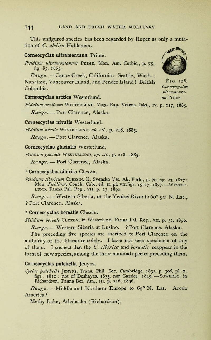 This unfigured species has been regarded by Roper as only a muta- tion of C. abdita Haldeman. Corneocyclas ultramontana Prime. Pisidium ultramontanum Prime, Mon. Am. Corbie., p. 75, fig. 85, 1865. Range. — Canoe Creek, California ; Seattle, Wash.; Nanaimo, Vancouver Island, and Pender Island ! British Columbia. Fig. 118. Corneocyclas ultramonta- Corneocyclas arctica Westerlund. na Prime. Pisidium arcticum Westerlund, Vega Exp. Vetens. Iakt., iv, p. 217, 1885. Range. — Port Clarence, Alaska. Corneocyclas nivalis Westerlund. Pisidium nivale Westerlund, op. cit., p. 218, 1885. Range. — Port Clarence, Alaska. Corneocyclas glacialis Westerlund. Pisidium glaciale Westerlund, op. cit., p. 218, 1885. Range. — Port Clarence, Alaska. * Corneocyclas sibirica Clessin. Pisidium sibiricum Clessin, K. Svenska Vet. Ak. Forh., p. 70, fig. 23, 1877 ; Mon. Pisidium, Conch. Cab., ed. 11, pi. vn,figs. 15-17, 1877.—Wester- lund, Fauna Pal. Reg., vii, p. 23, 1890. Range. — Western Siberia, on the Yenisei River to 6o° 50' N. Lat., ? Port Clarence, Alaska. * Corneocyclas borealis Clessin. Pisidium boreale Clessin, in Westerlund, Fauna Pal. Reg., VII, p. 32, 1890. Range. — Western Siberia at Lusino. PPort Clarence, Alaska. The preceding five species are ascribed to Port Clarence on the authority of the literature solely. I have not seen specimens of any of them. I suspect that the C. sibirica and borealis reappear in the form of new species, among the three nominal species preceding them. Corneocyclas pulchella Jenyns. Cyclas pulchella Jenyns, Trans. Phil. Soc. Cambridge, 1832, p. 306, pi. x, figs., 1812; not of Deshayes, 1835, nor Gassies, 1849.—Sowerby, in Richardson, Fauna Bor. Am., Ill, p. 316, 1836. Range. — Middle and Northern Europe to 69° N. Lat. Arctic America ? Methy Lake, Athabaska (Richardson).