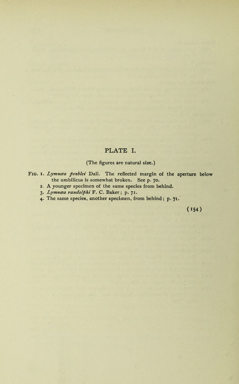 (The figures are natural size.) Fig. i. Lytnncea preblei Dali. The reflected margin of the aperture below the umbilicus is somewhat broken. See p. 70. 2. A younger specimen of the same species from behind. 3. Lymncea randolpki F. C. Baker; p. 71. 4. The same species, another specimen, from behind; p. 71.