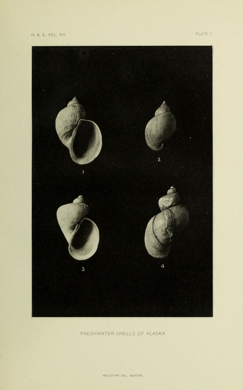 H. A. E. VOL. XIII FRESHWATER SHELLS OF ALASKA HELIOTYPE CO., BOSTON.