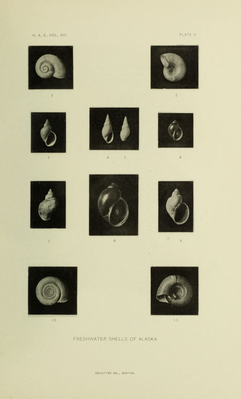 FRESHWATER SHELLS OF ALASKA