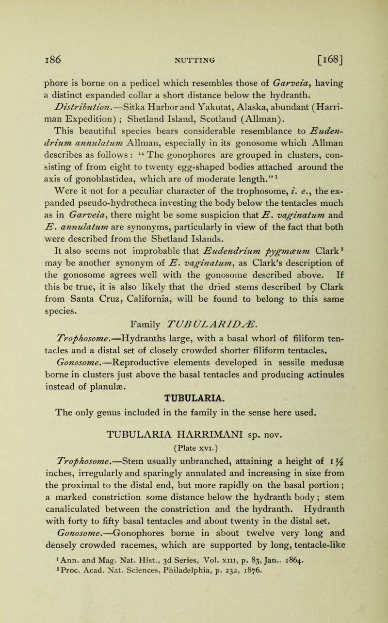 phore is borne on a pedicel which resembles those of Garveia, having a distinct expanded collar a short distance below the hydranth. Distribution.—Sitka Harbor and Yakutat, Alaska, abundant (Harri- man Expedition) ; Shetland Island, Scotland (Allman). This beautiful species bears considerable resemblance to Ruden- driurn annulatum Allman, especially in its gonosome which Allman describes as follows : “The gonophores are grouped in clusters, con- sisting of from eight to twenty egg-shaped bodies attached around the axis of gonoblastidea, which are of moderate length.”1 Were it not for a peculiar character of the trophosome, i. e., the ex- panded pseudo-hydrotheca investing the body below the tentacles much as in Garveia, there might be some suspicion that R. vaginatum and R. annulatum are synonyms, particularly in view of the fact that both were described from the Shetland Islands. It also seems not improbable that Rudendrium pygmoeum Clarks may be another synonym of R. vaginatum, as Clark’s description of the gonosome agrees well with the gonosome described above. If this be true, it is also likely that the dried stems described by Clark from Santa Cruz, California, will be found to belong to this same species. Family TUB ULARIDsE. Trophosome.—Hydranths large, with a basal whorl of filiform ten- tacles and a distal set of closely crowded shorter filiform tentacles. Gonosome.—Reproductive elements developed in sessile medusa borne in clusters just above the basal tentacles and producing actinules instead of planula. TUBULARIA. The only genus included in the family in the sense here used. TUBULARIA HARRIMANI sp. nov. (Plate xvi.) Trophosome.—Stem usually unbranched, attaining a height of i inches, irregularly and sparingly annulated and increasing in size from the proximal to the distal end, but more rapidly on the basal portion; a marked constriction some distance below the hydranth body; stem canaliculated between the constriction and the hydranth. Hydranth with forty to fifty basal tentacles and about twenty in the distal set. Gonosome.—Gonophores borne in about twelve very long and densely crowded racemes, which are supported by long, tentacle-like >Ann. and Mag. Nat. Hist., 3d Series, Vol. xm, p. 83, Jan.. 1864. sProc. Acad. Nat. Sciences, Philadelphia, p. 232, 1876.